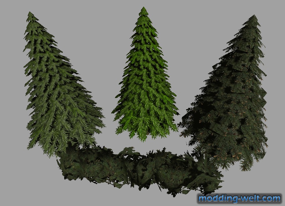 Trees