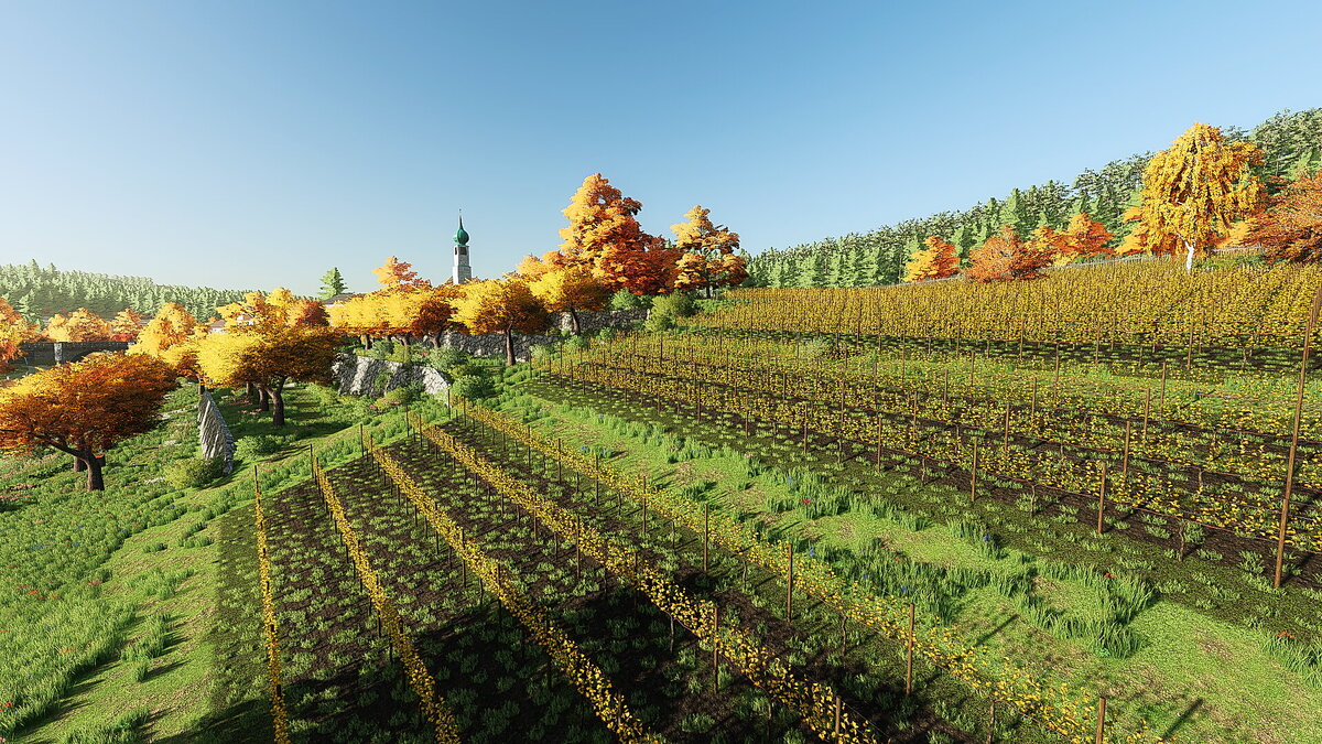 Der Wein im Herbst