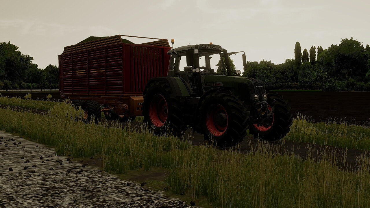 grass