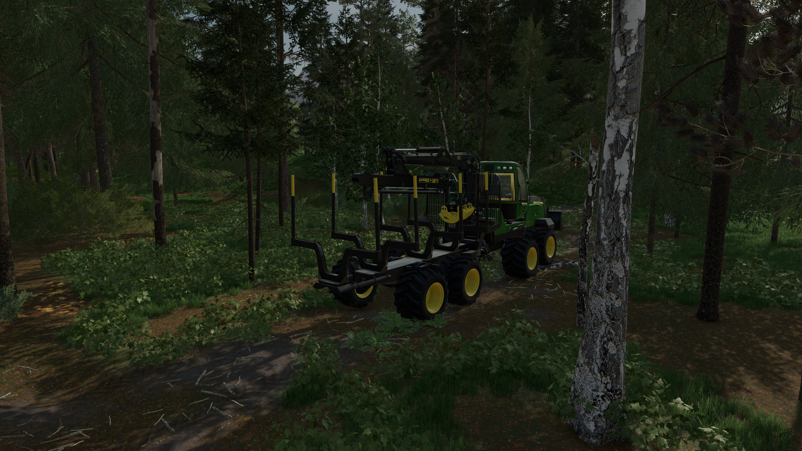 Im Wald