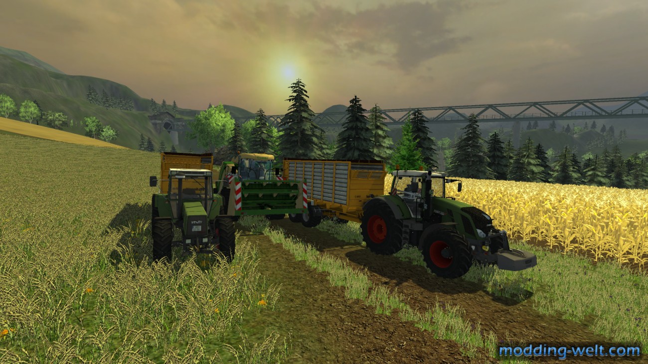 meine 3 Babys ^^