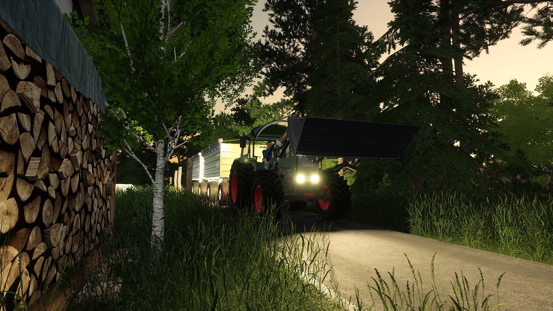Ls 19 Ellerbach mp
