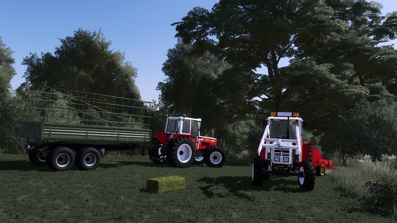 STEYR