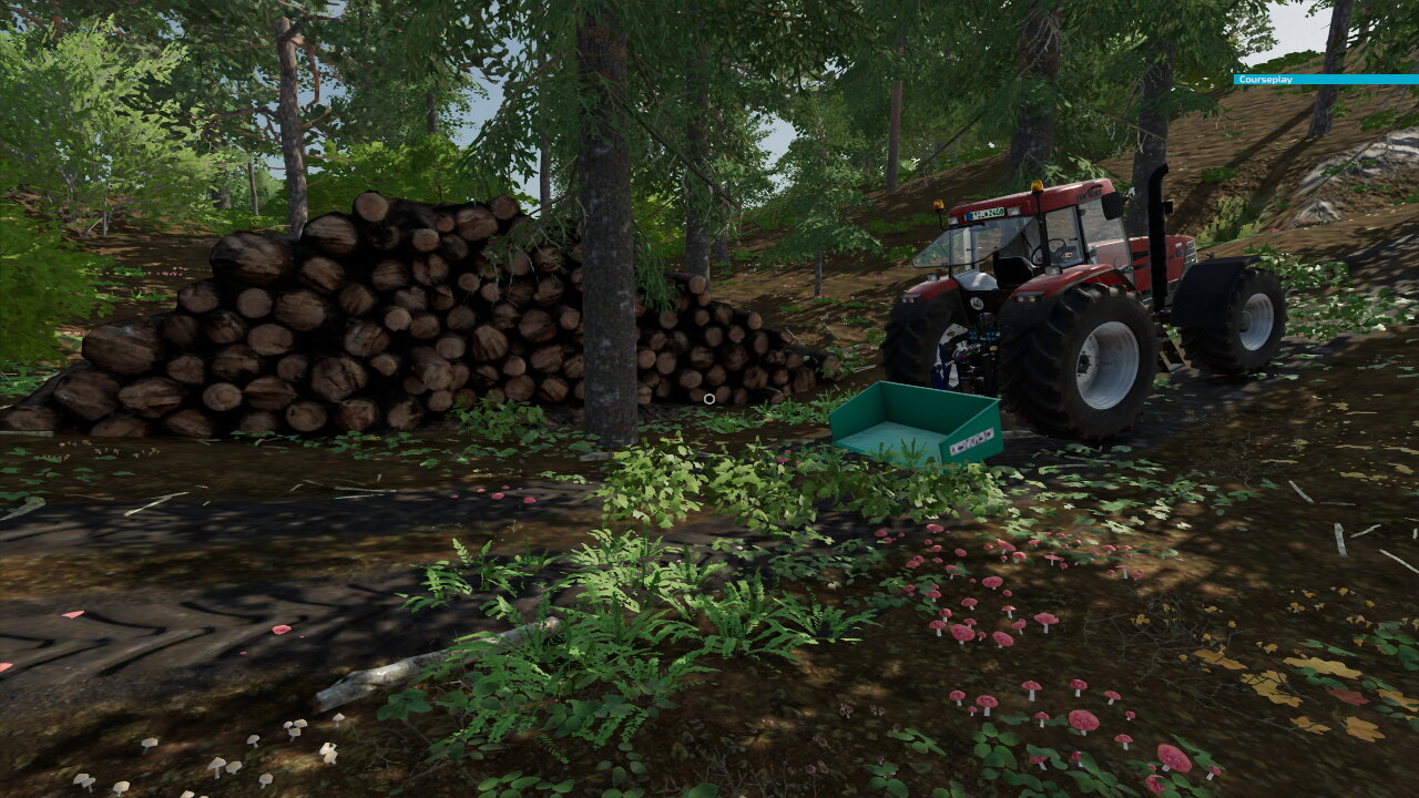 Holz holen