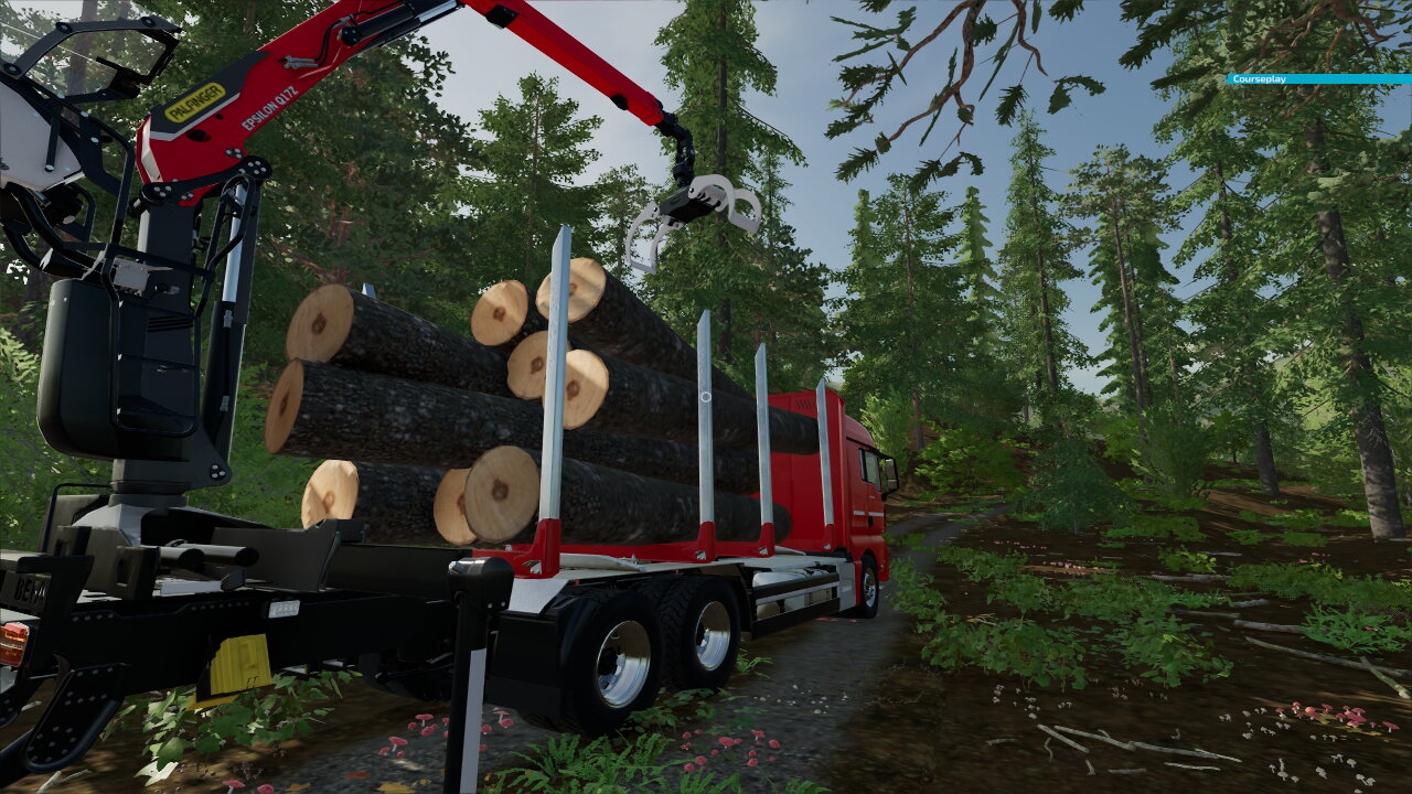 Auf den Laster vom Forstunternehmen laden