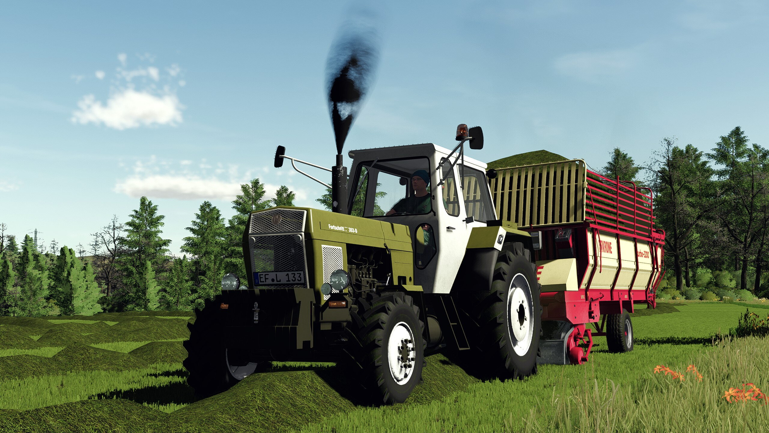 Gras sammeln für die Heutrocknung