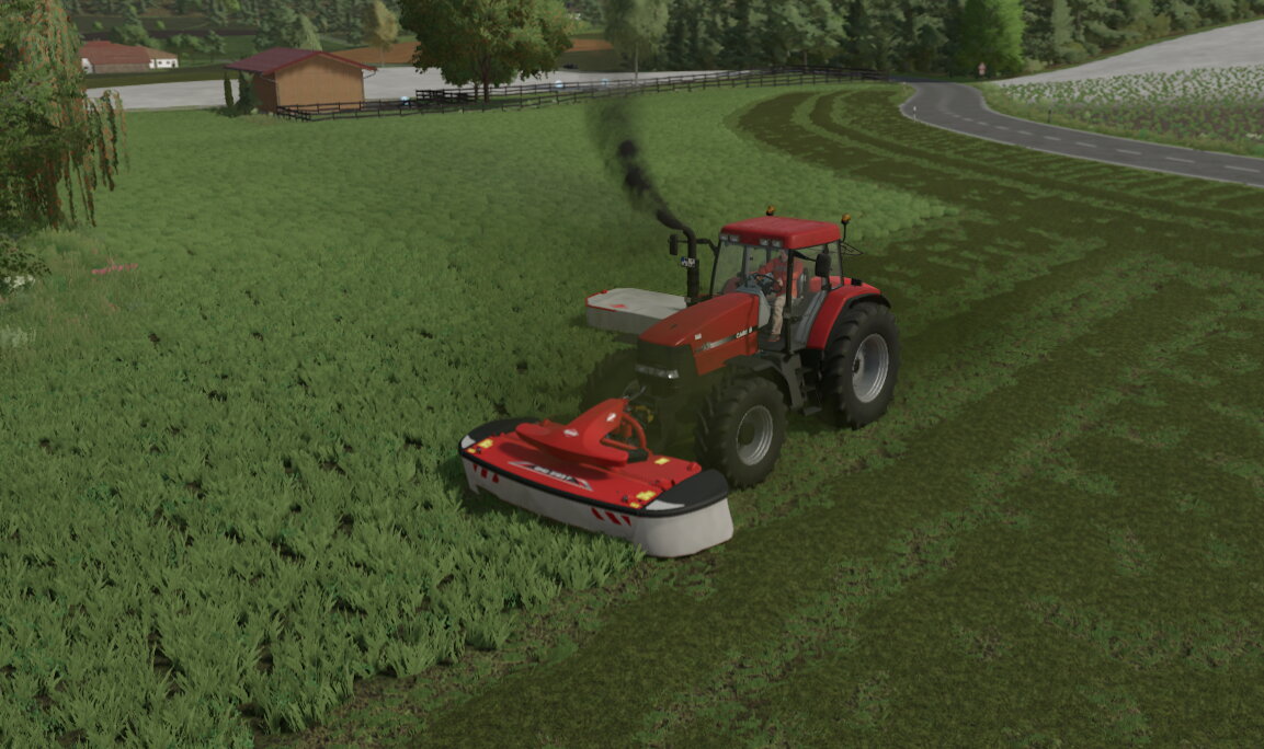 Gras mähn