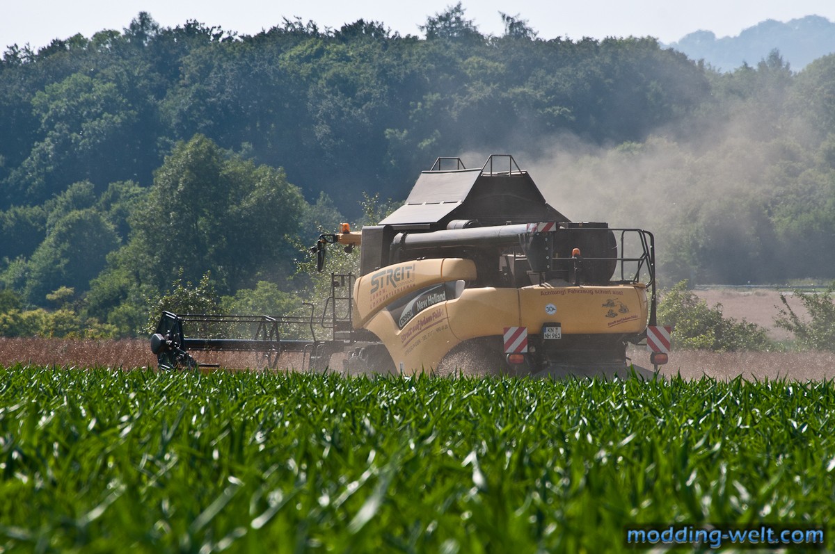 New Holland CR960 beim Raps Drusch