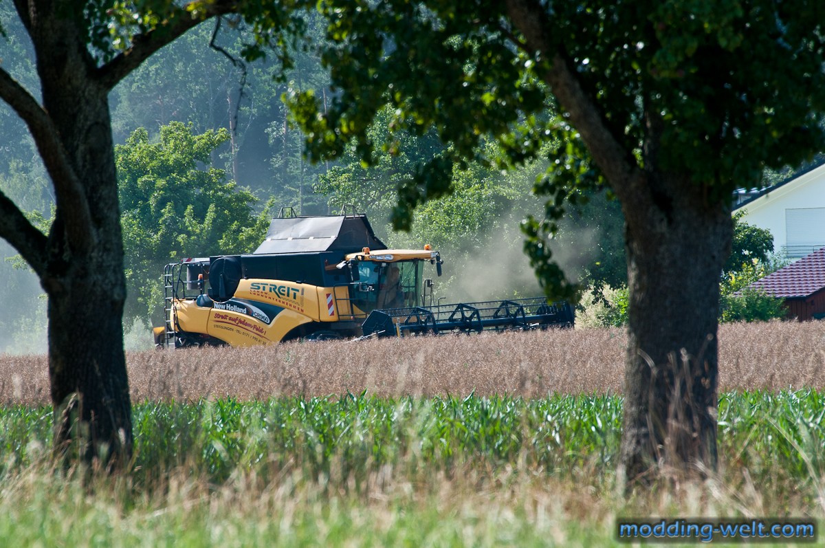 New Holland CR960 beim Raps Drusch