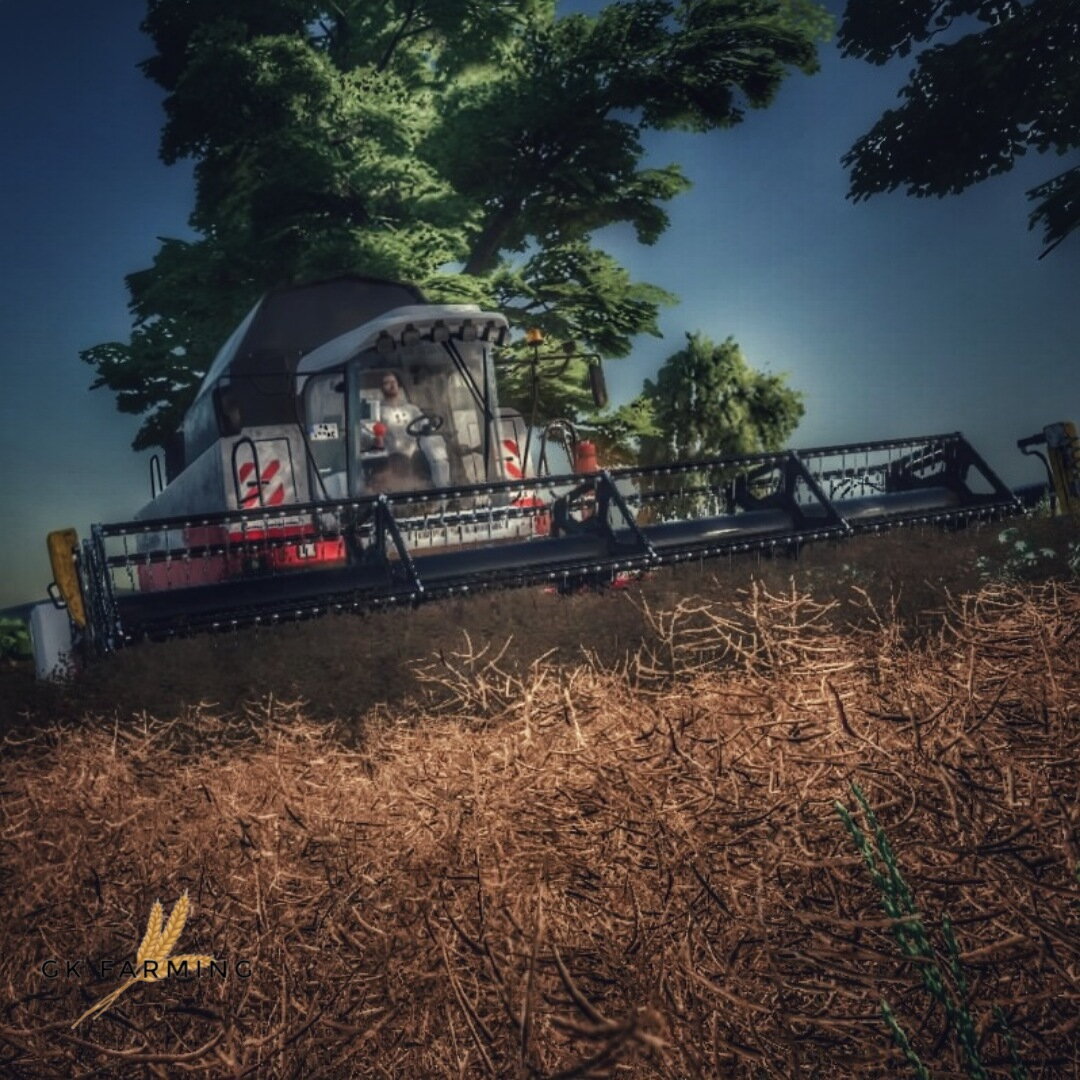 Rapsernte in der Karpatenlandschaft