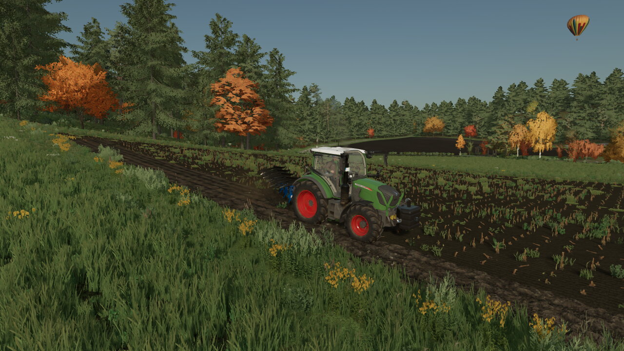 313Vario+Rabe