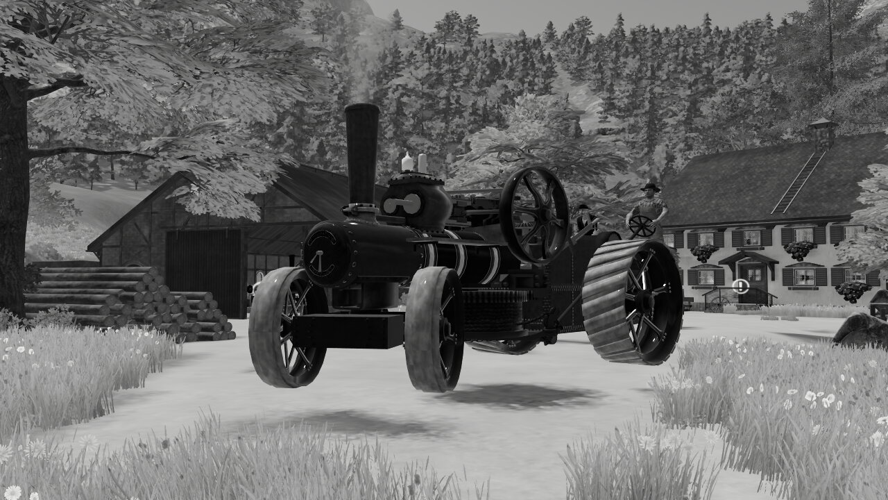 My fancy steam traction engine you shall see, in front of me house !