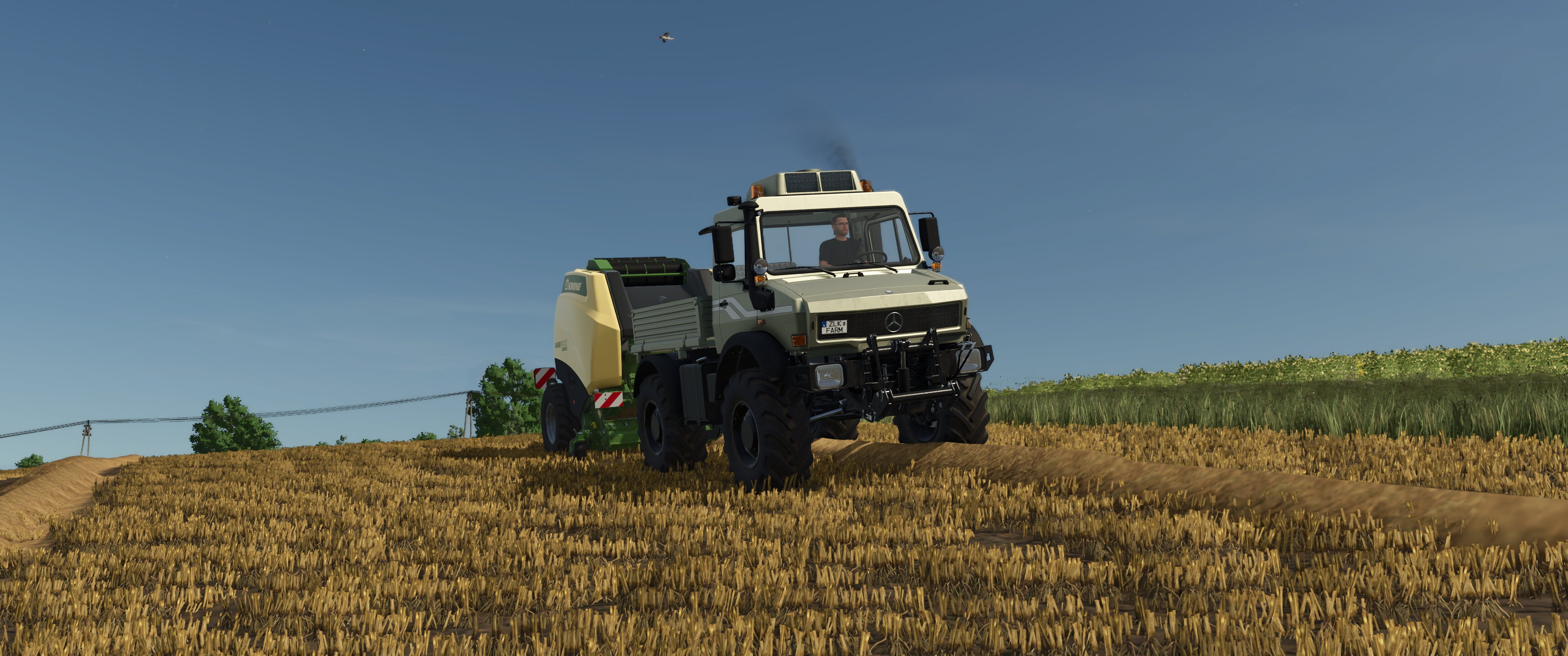 First days on Zielonka