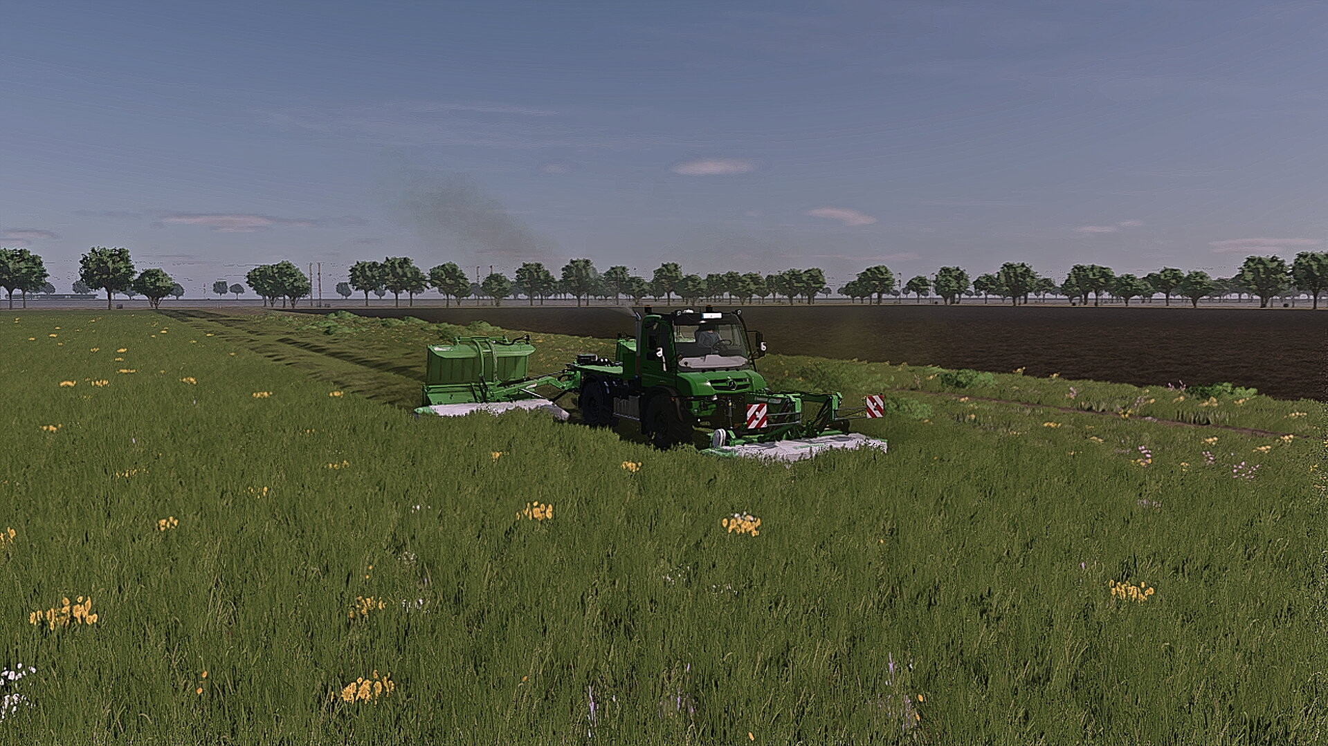 Test Lauf auf den Feld