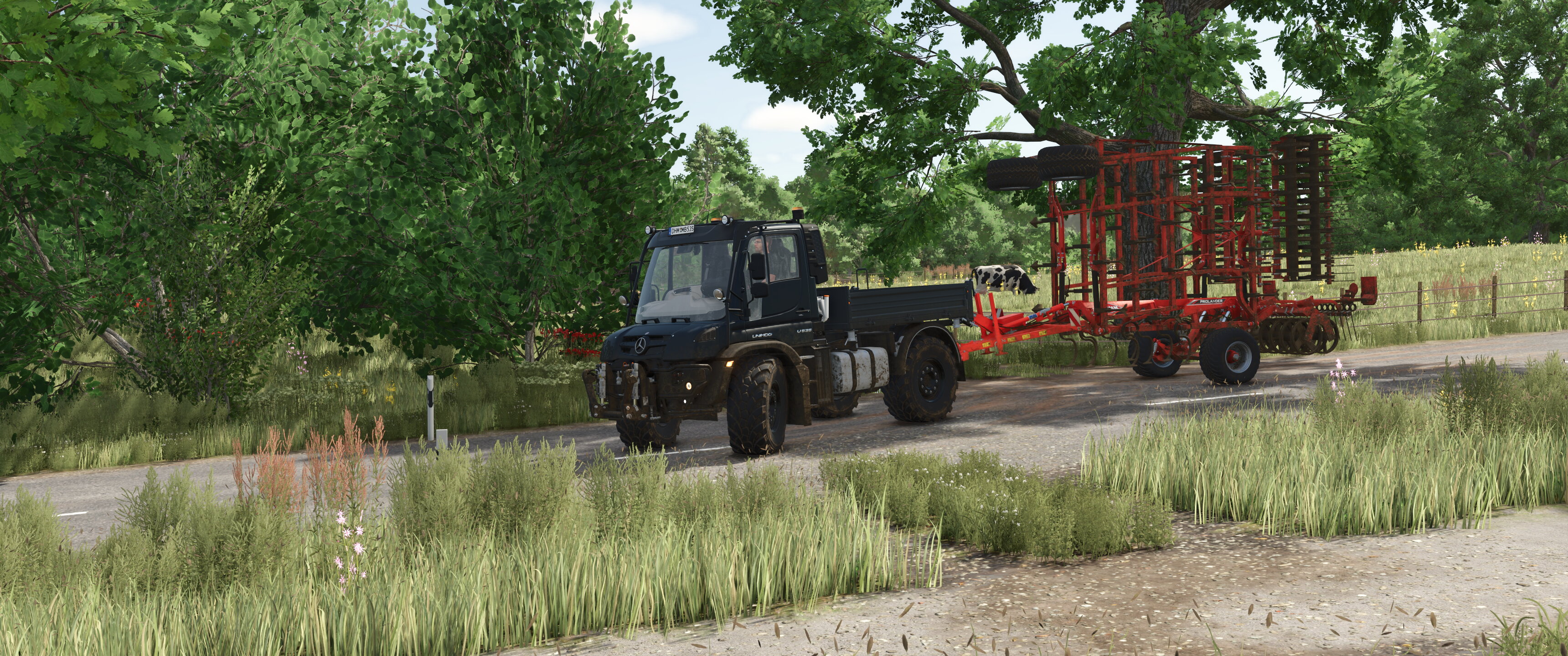 Field works