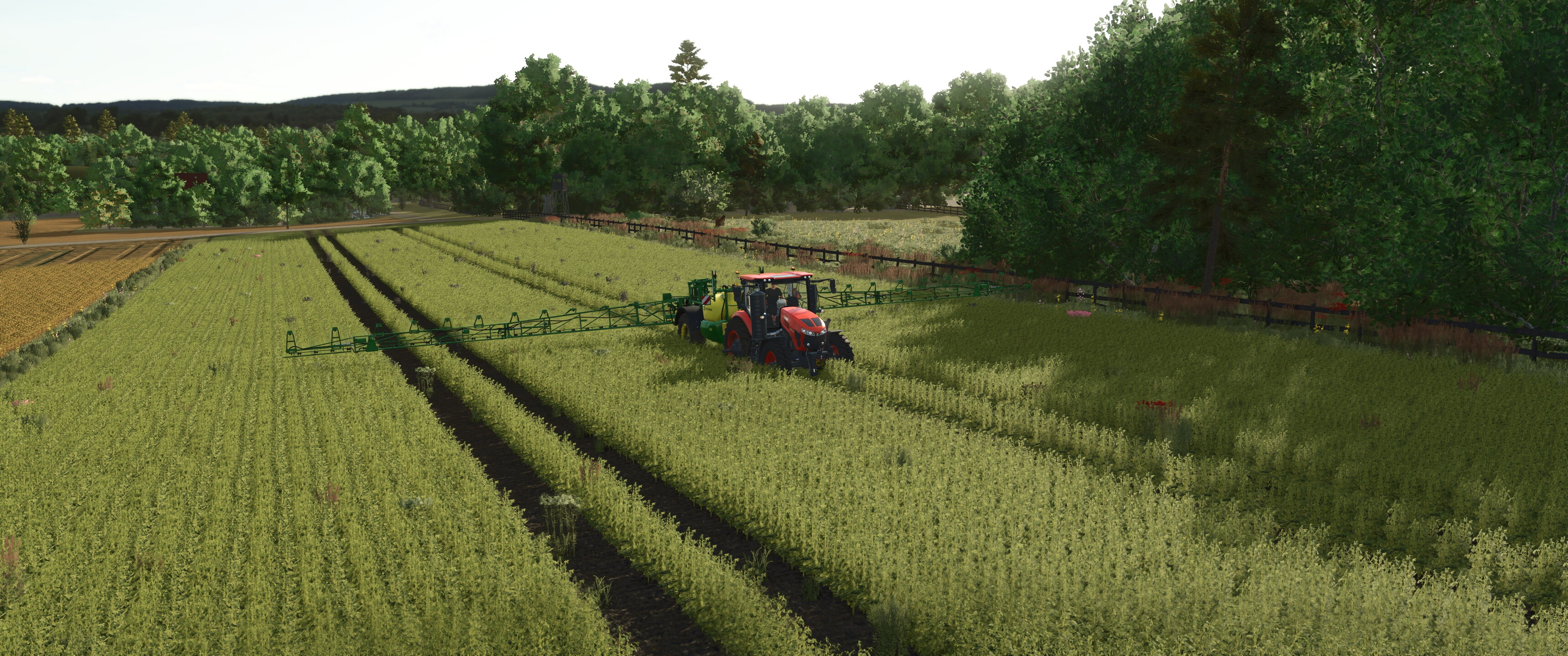 Field works