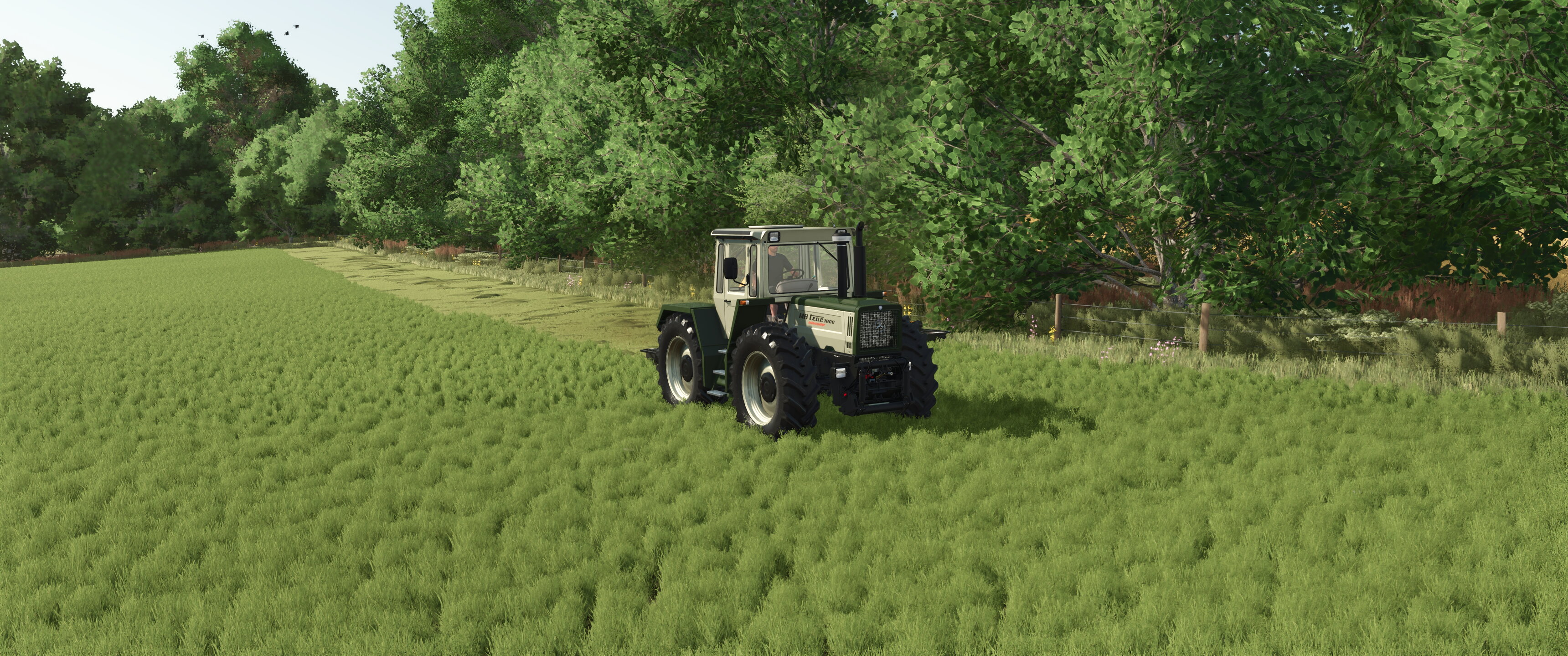 Field works