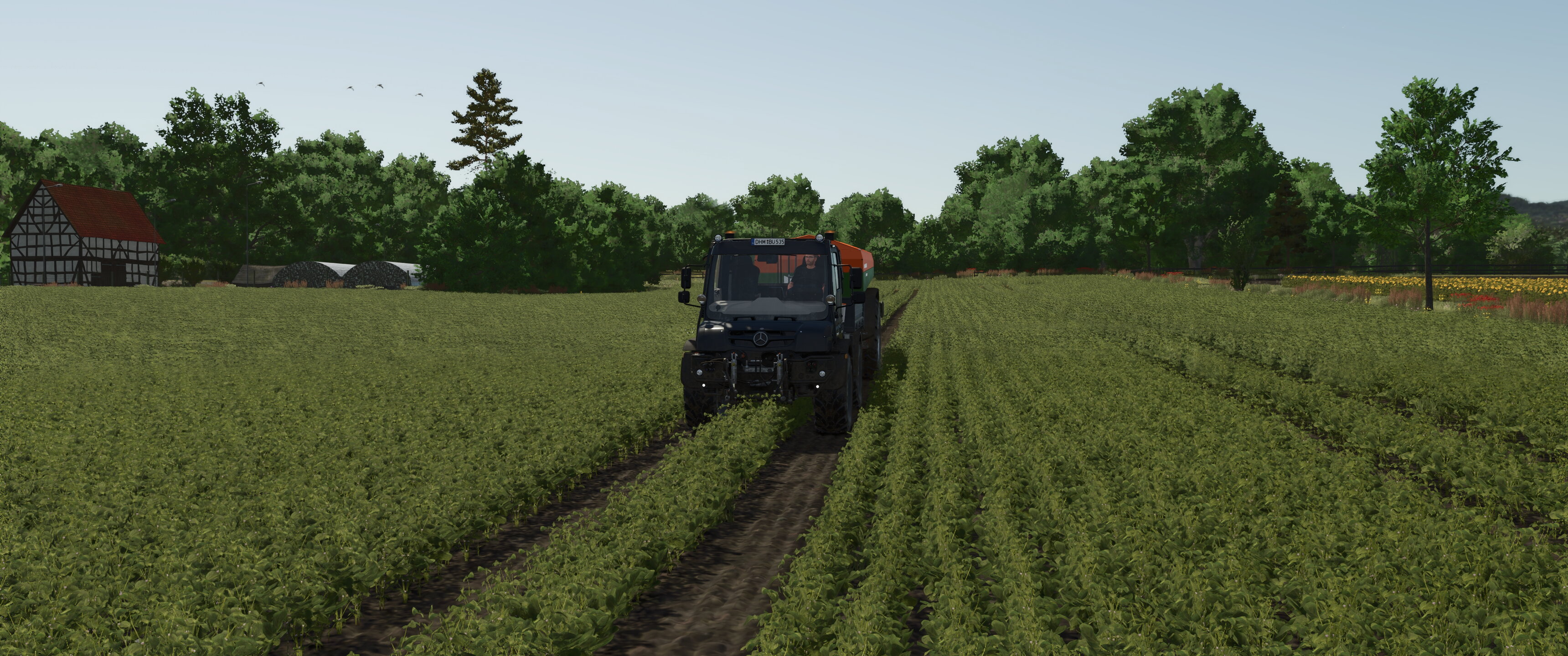 Field works