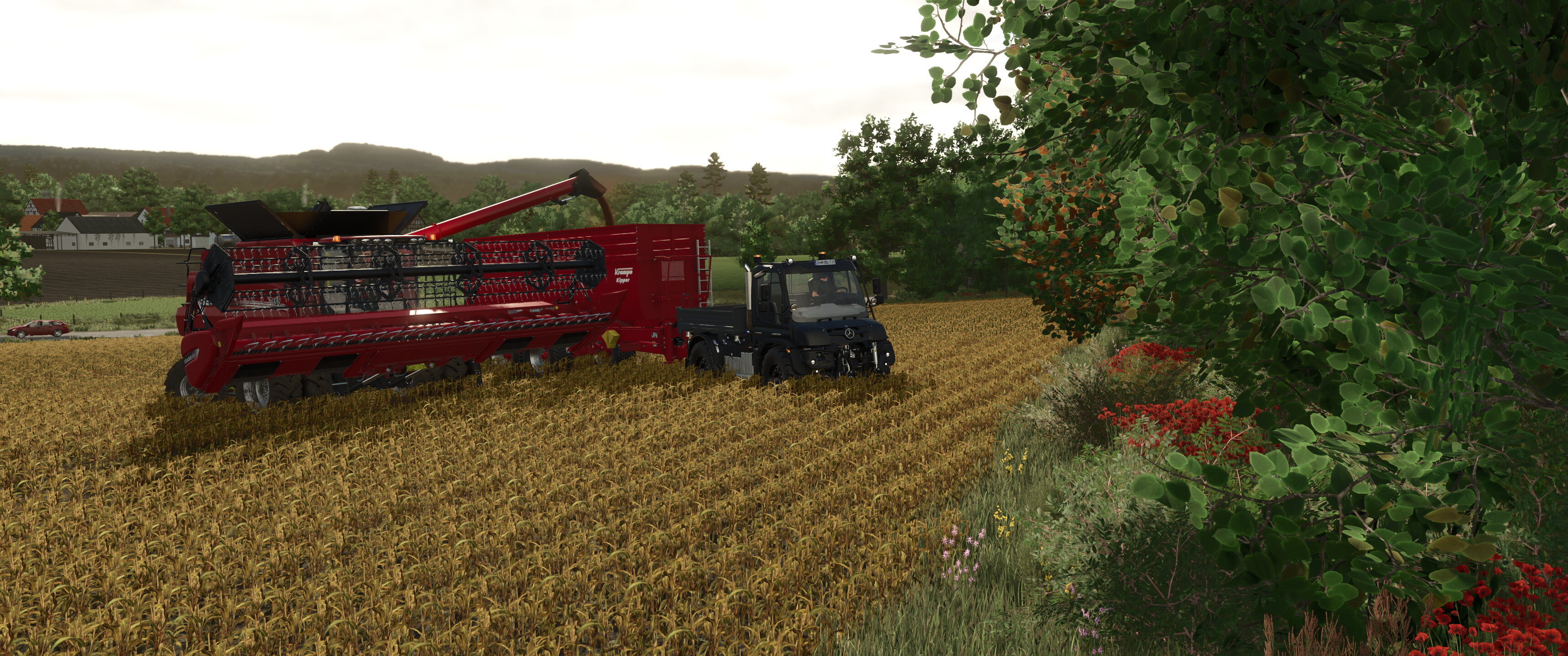 Field works
