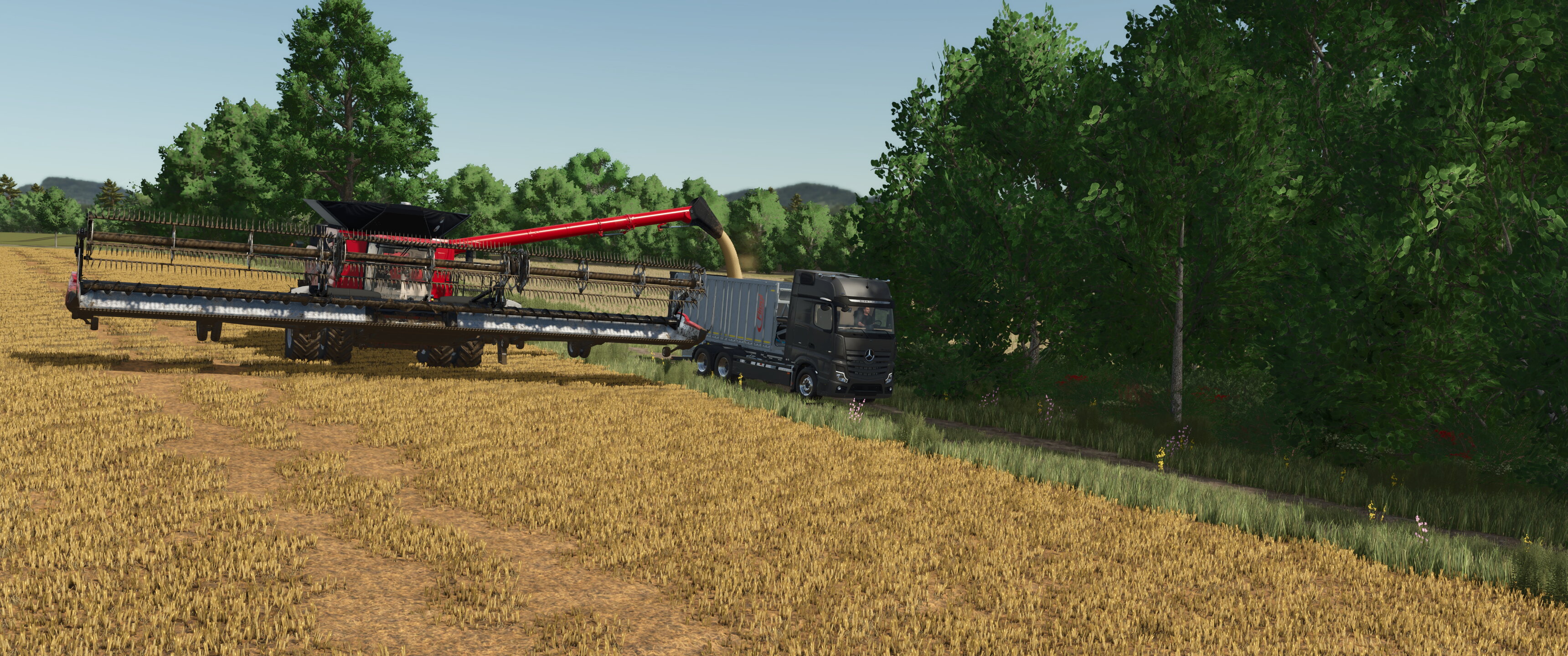 Field works