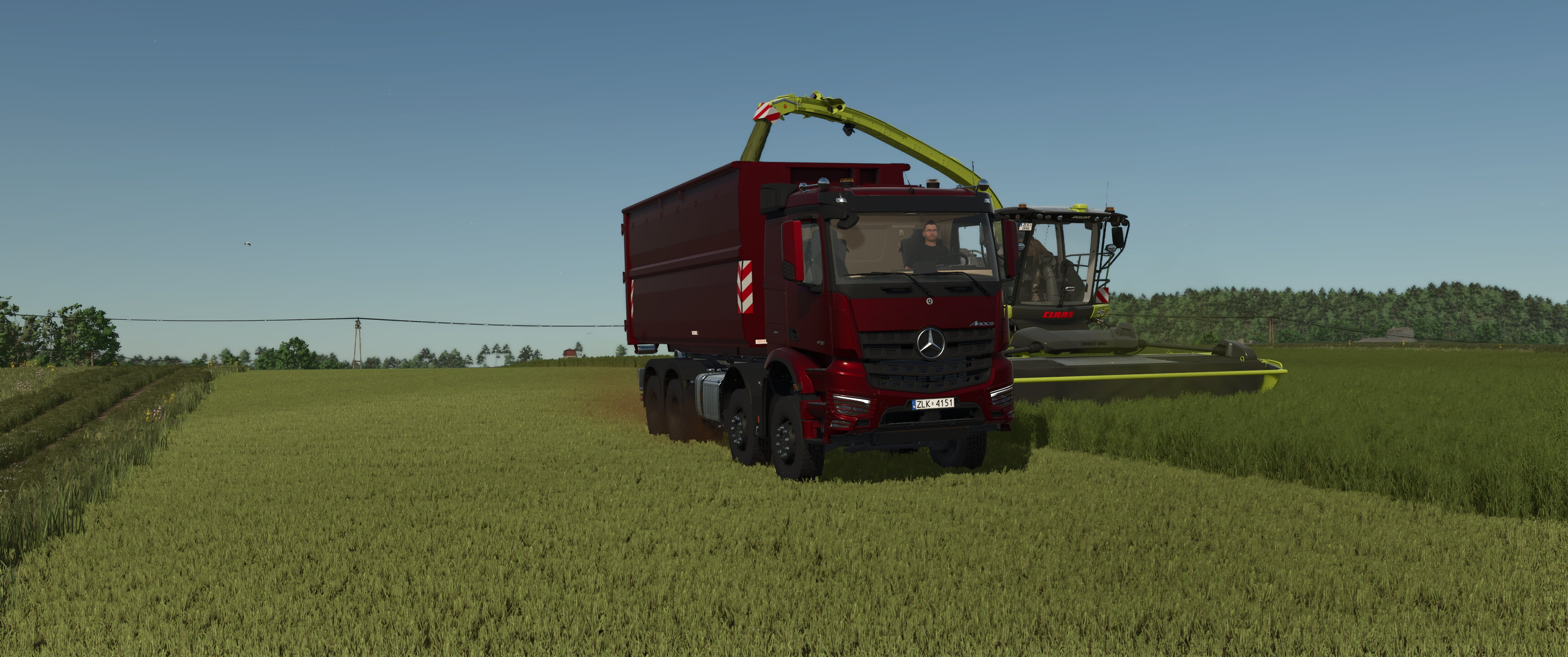 Arocs and Jaguar