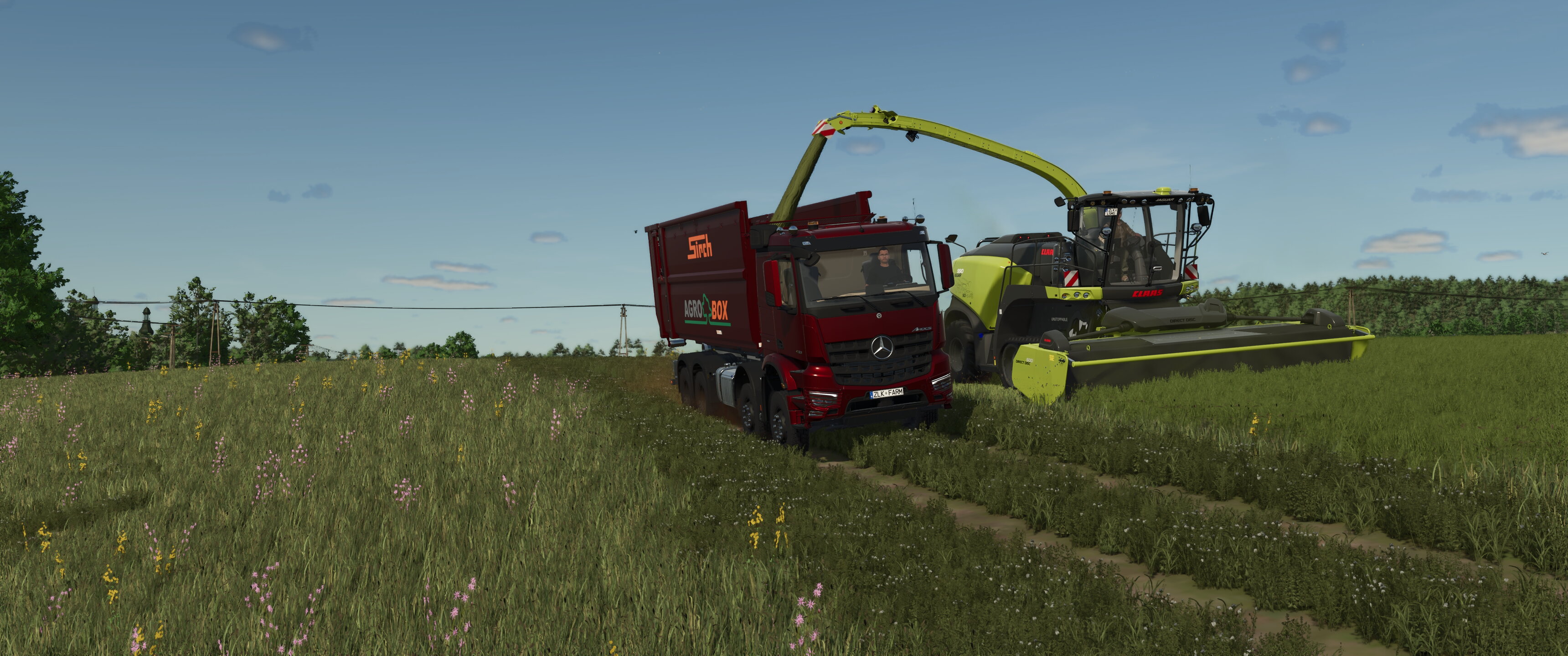 Arocs and Jaguar