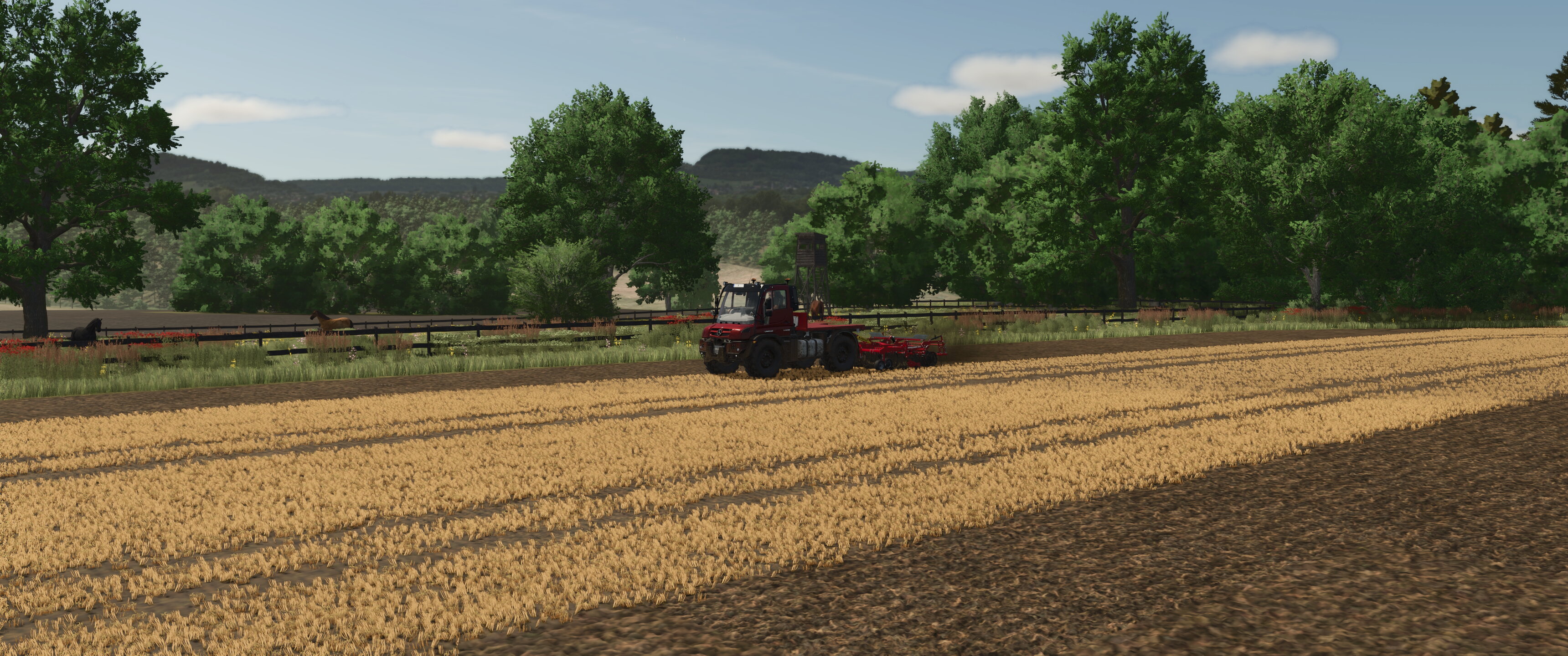Field works