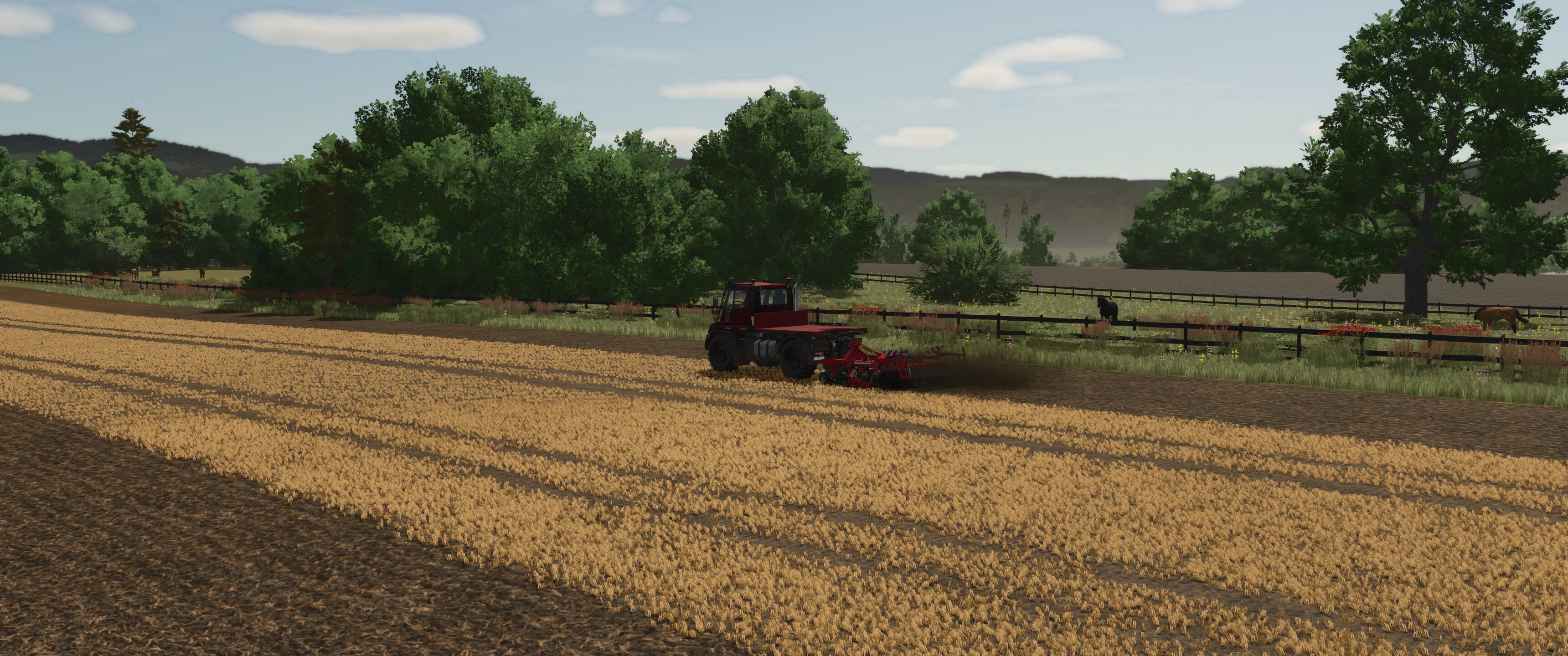 Field works