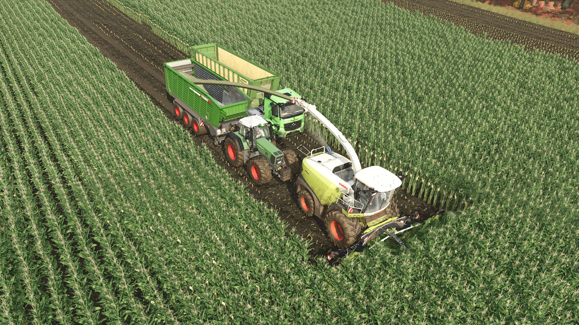Mais Einfahren mit Fendt 926