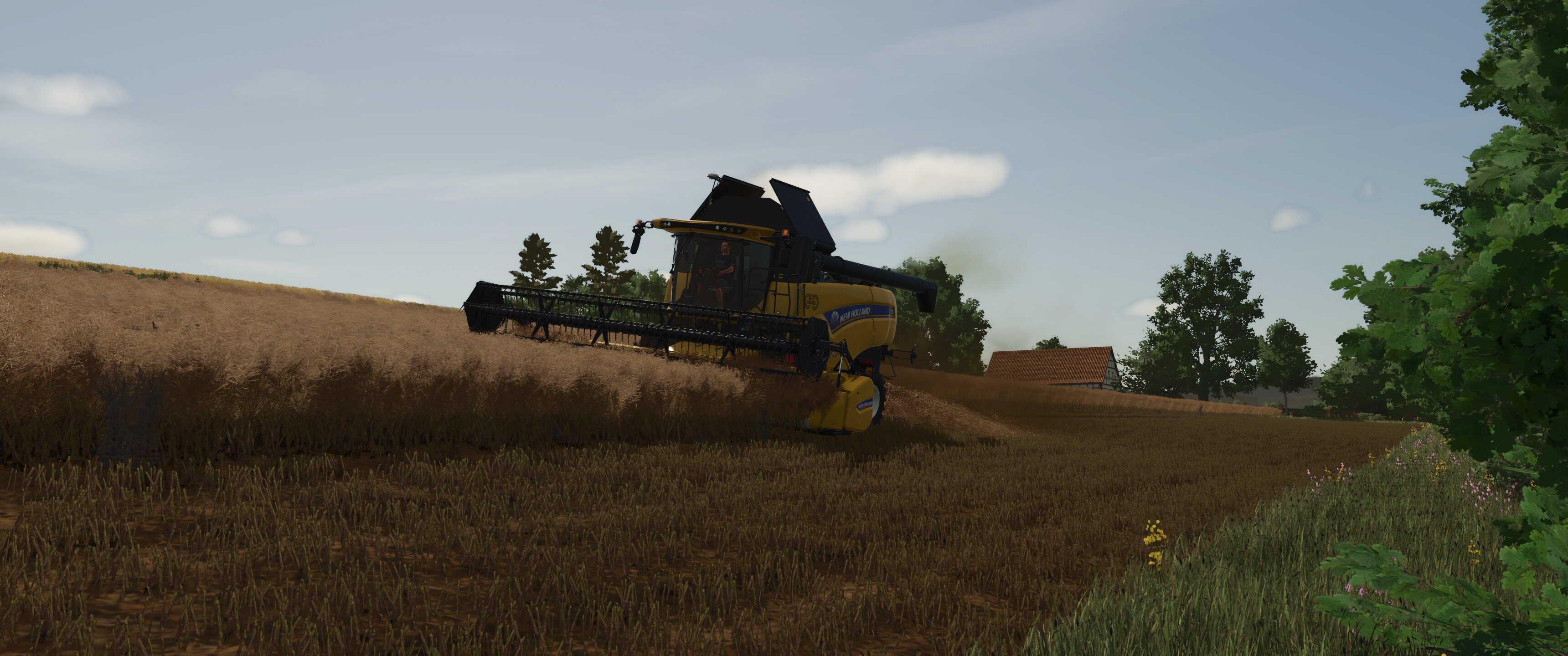 Field work