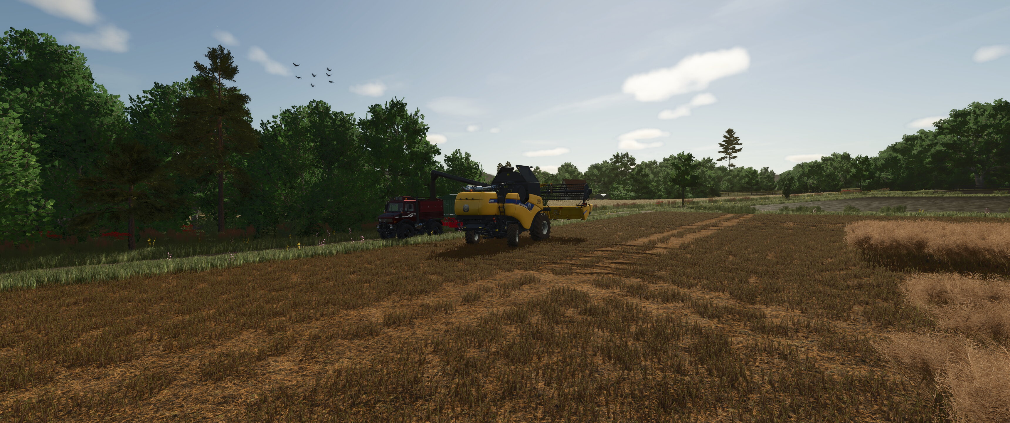 Field work