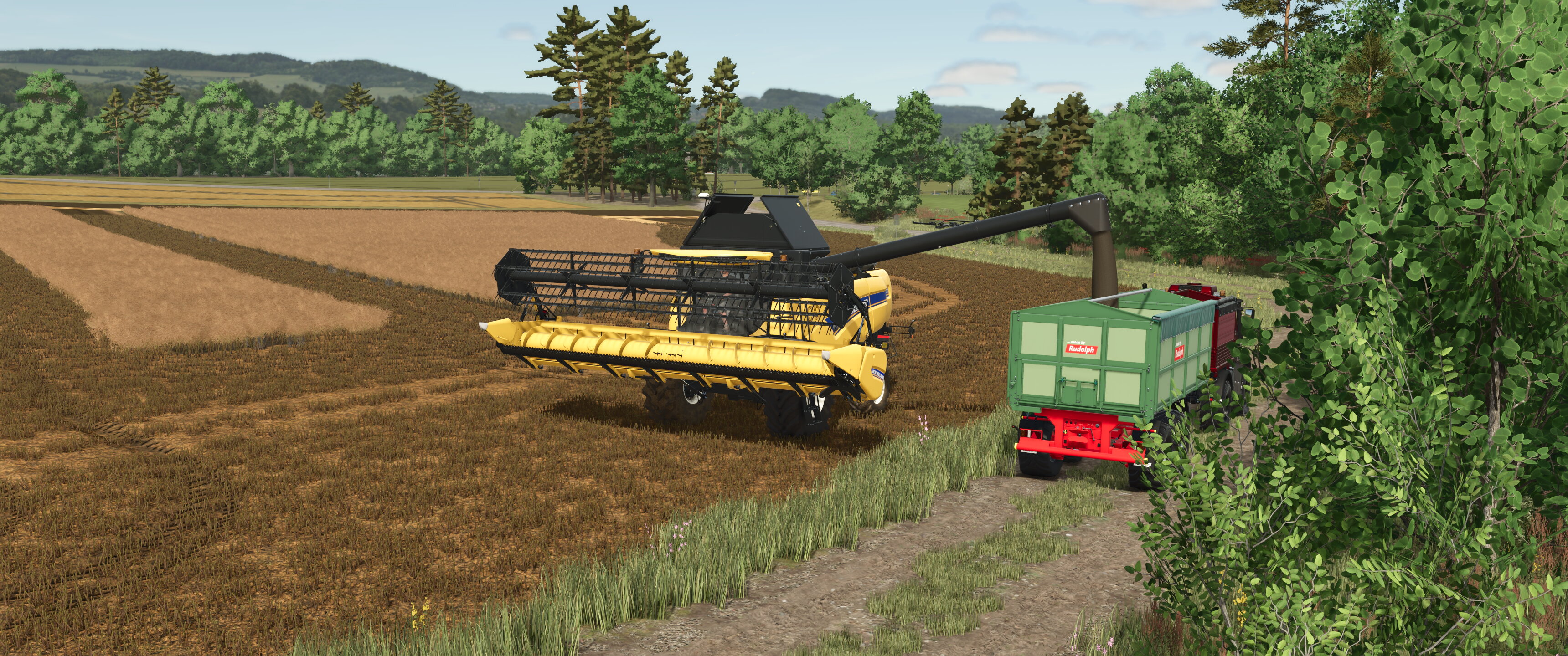 Field work