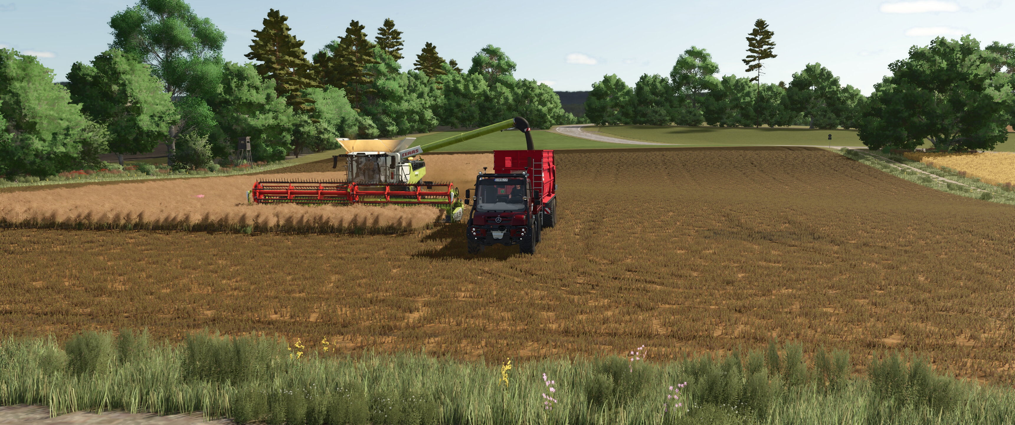 Field works