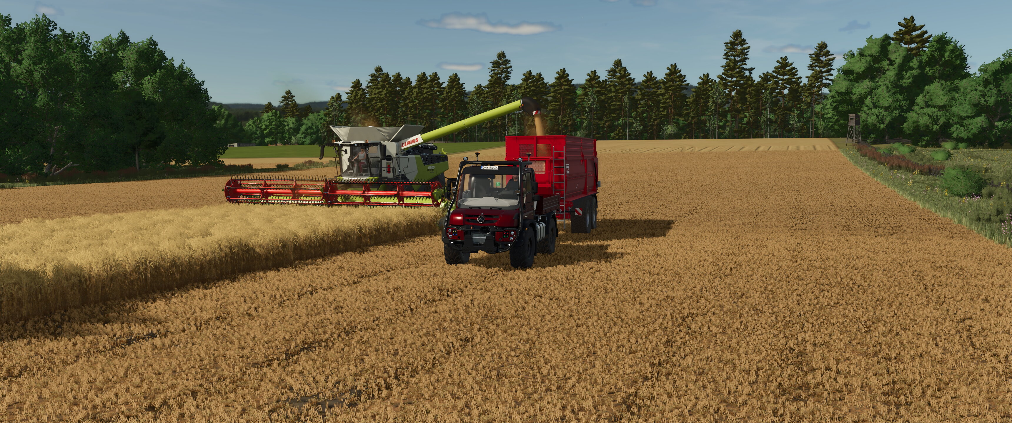 Field works