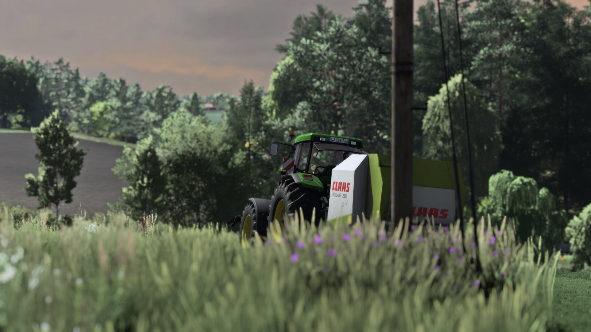 Bei Sonnenaufgang pressen!