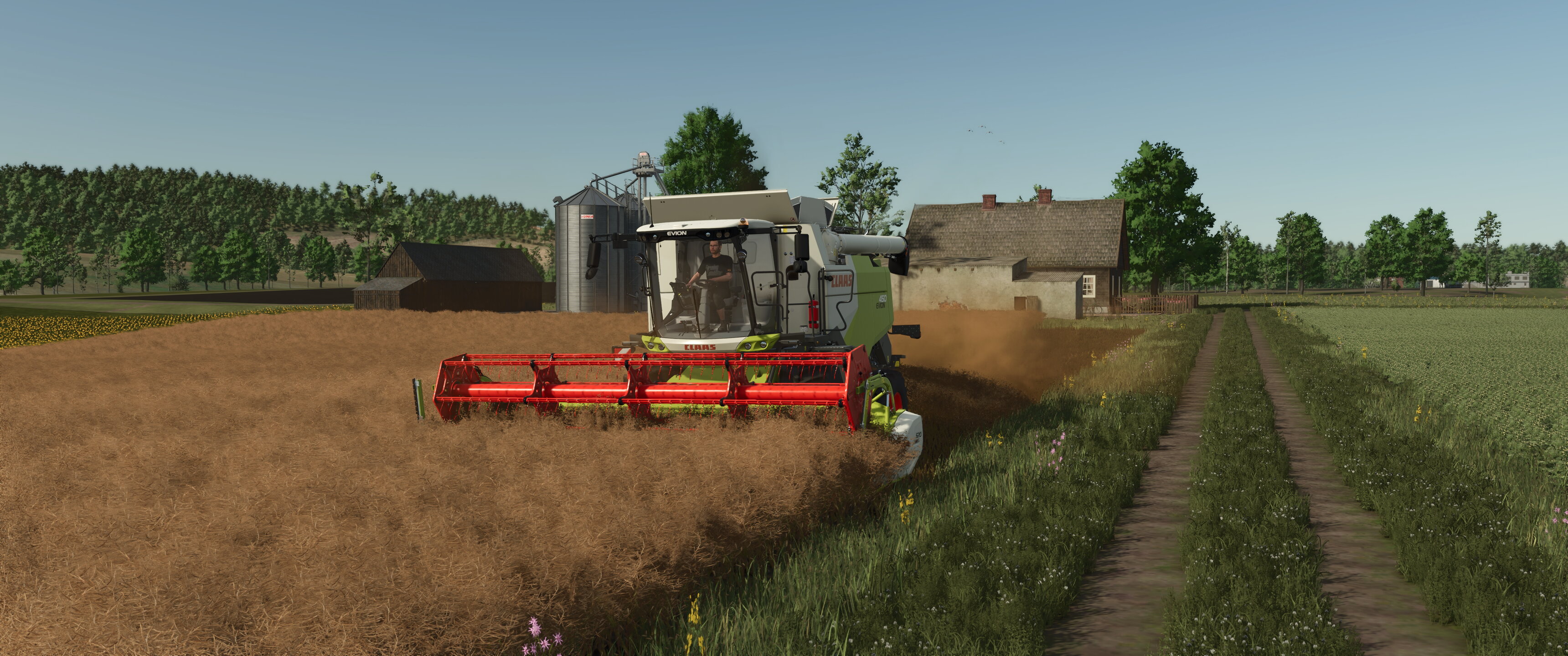 Field works