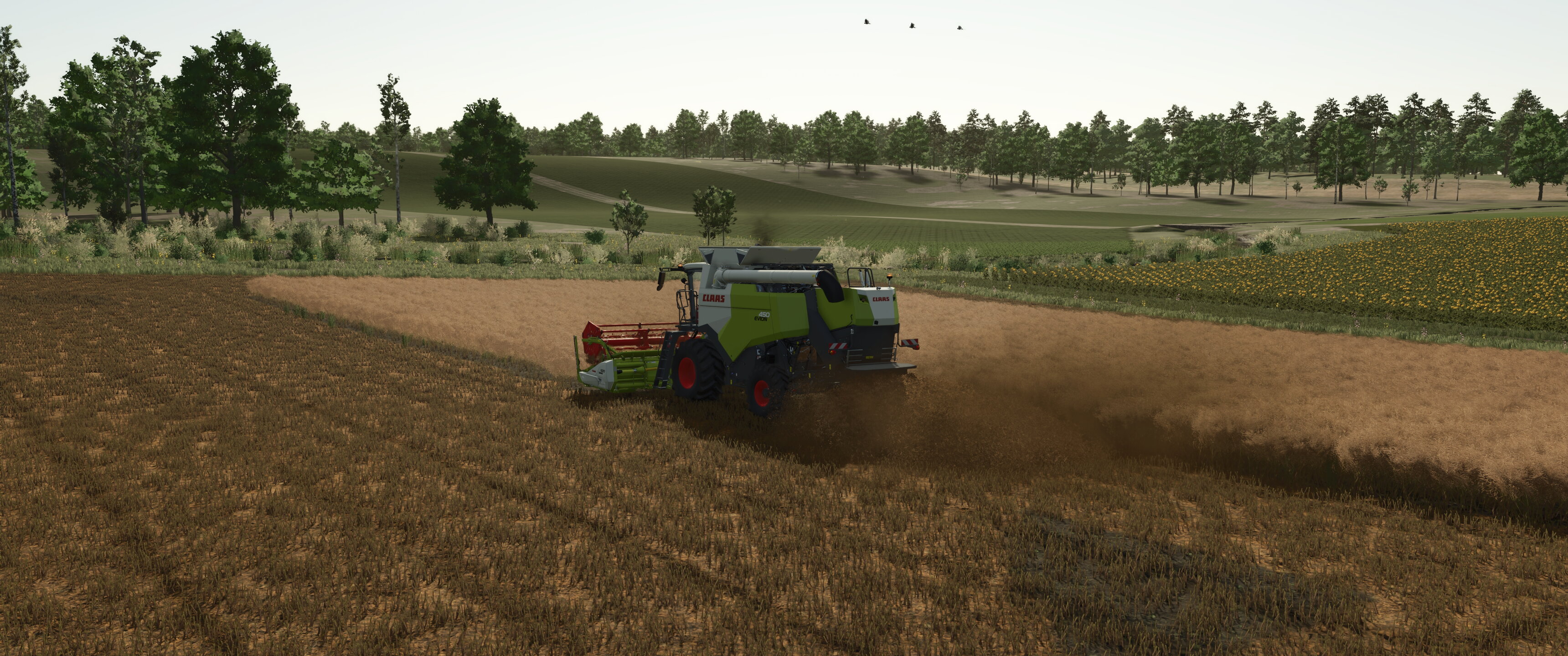 Field works