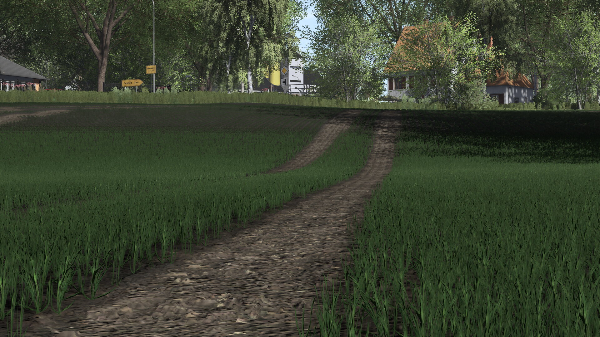 Sommergerste sieht gut aus