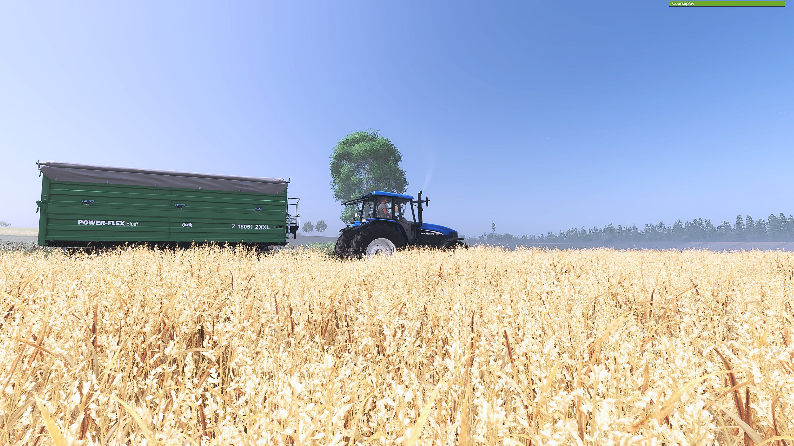 Mal etwas Power-Flexen :)