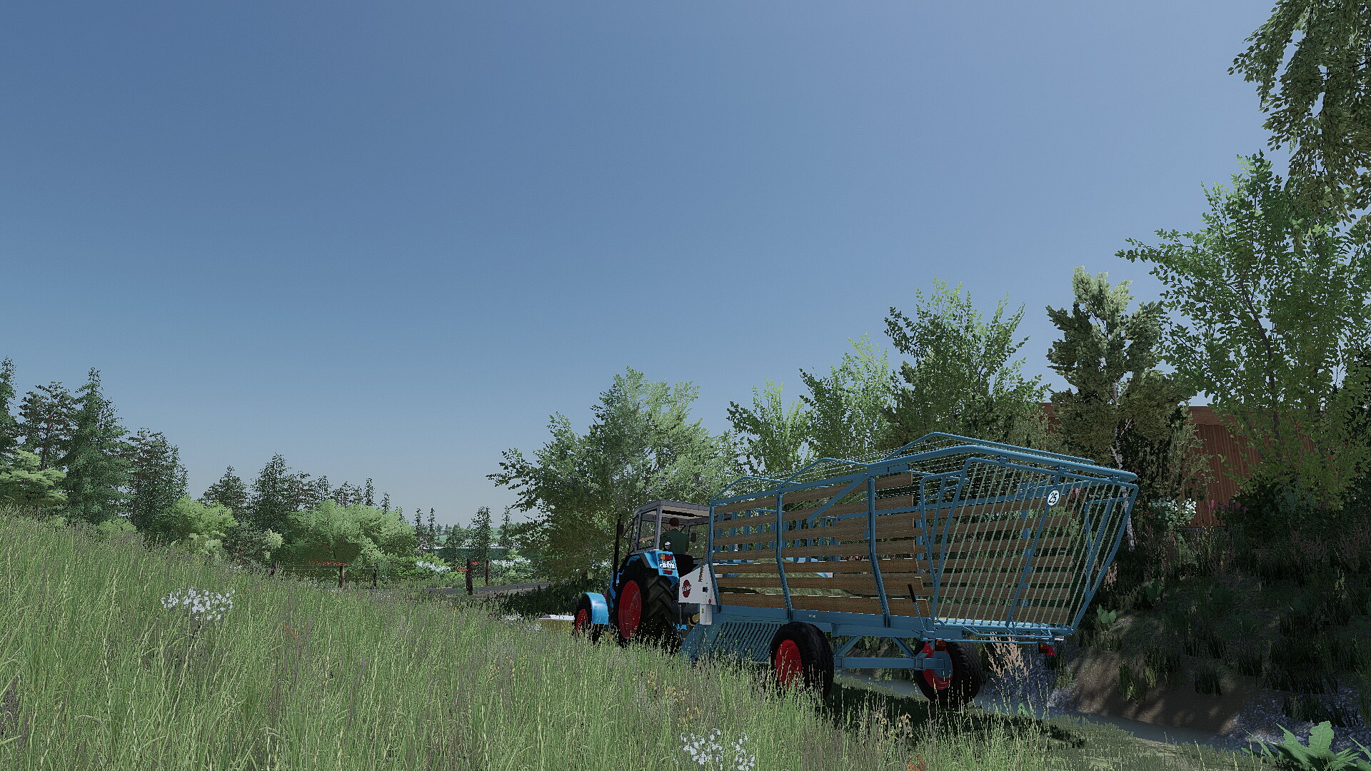 frischgras holen auf der holzer