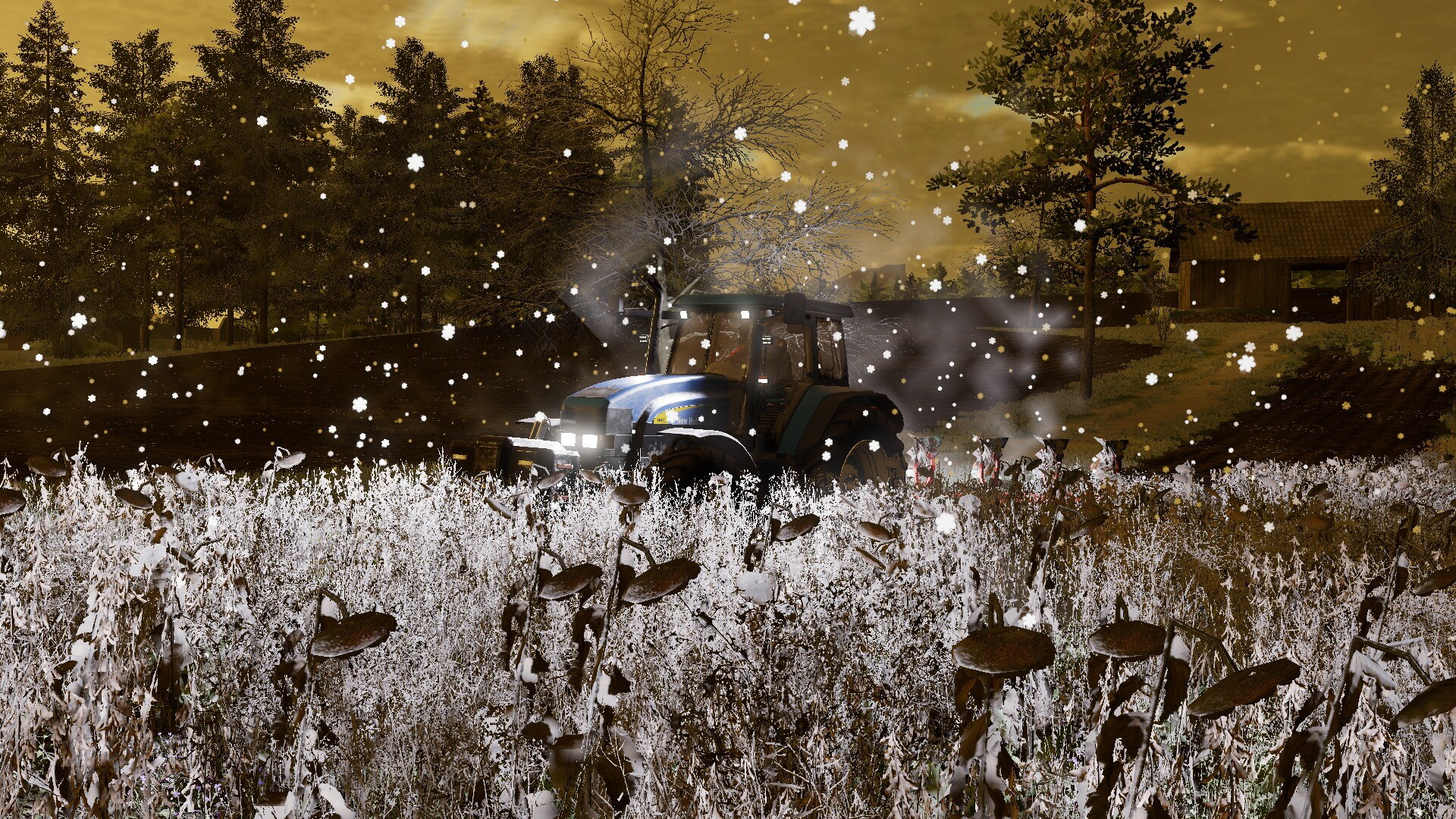 Akkern auf da Steinbach