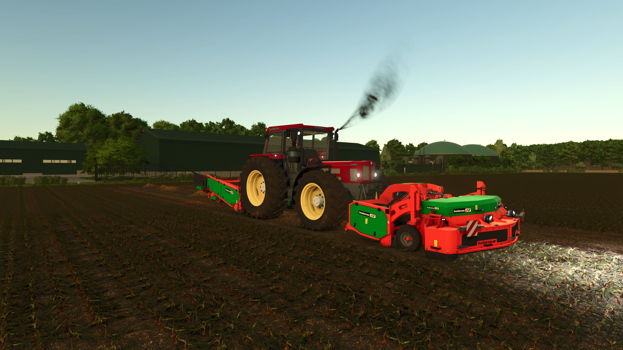 Meine ersten Zwiebeln im LS