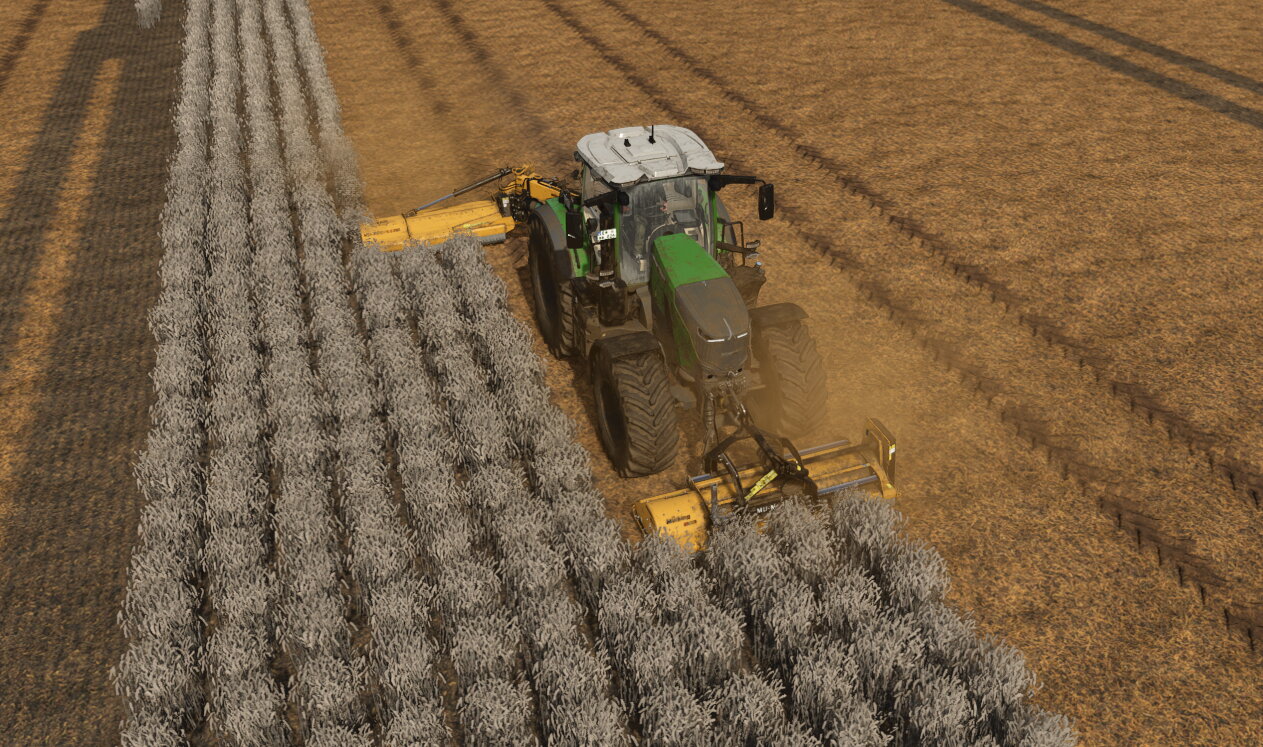 Auf dem neu Erworbenen Acker die alte Feldfrucht Mulchen.