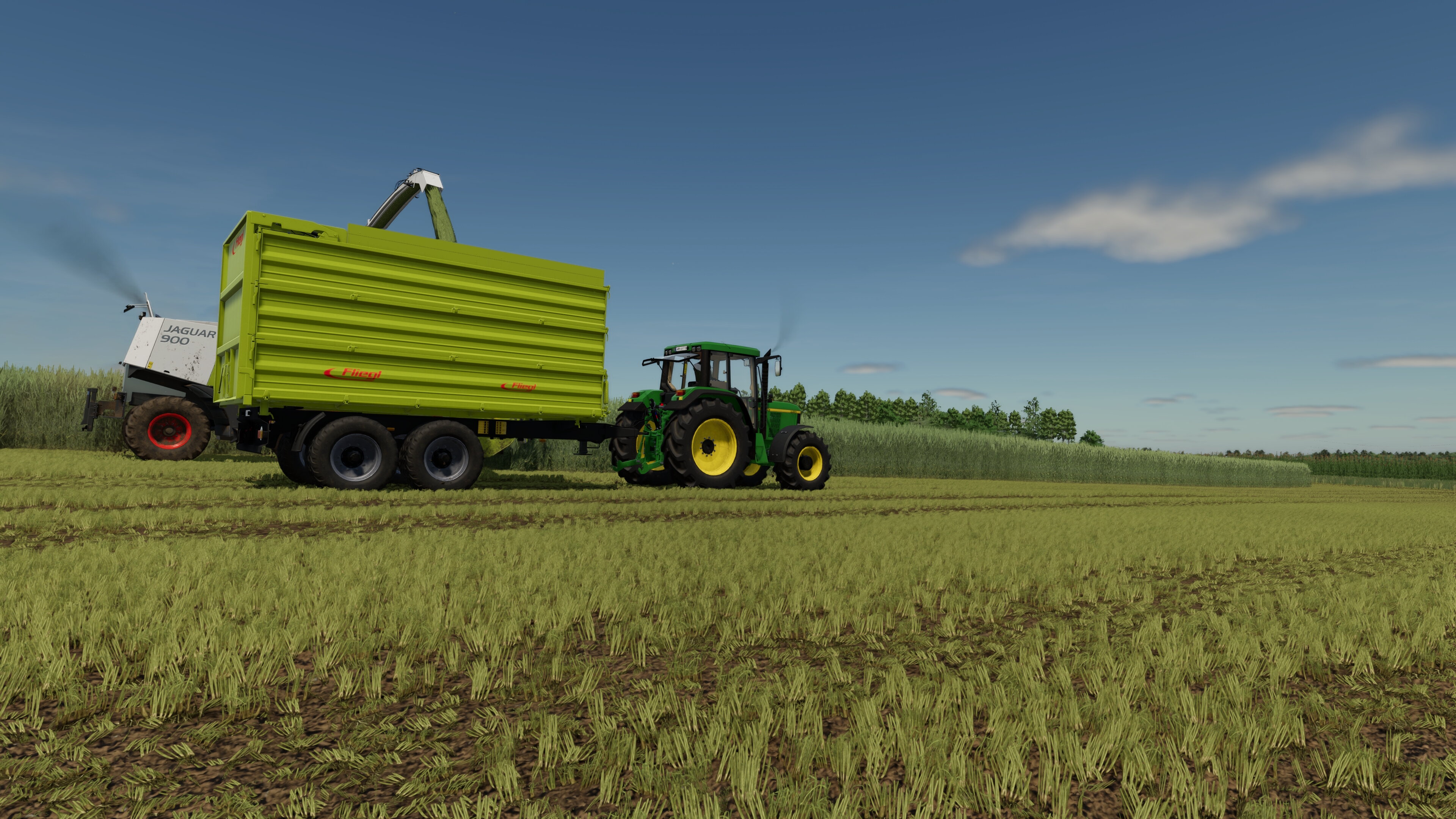 Grünroggen Häckseln.