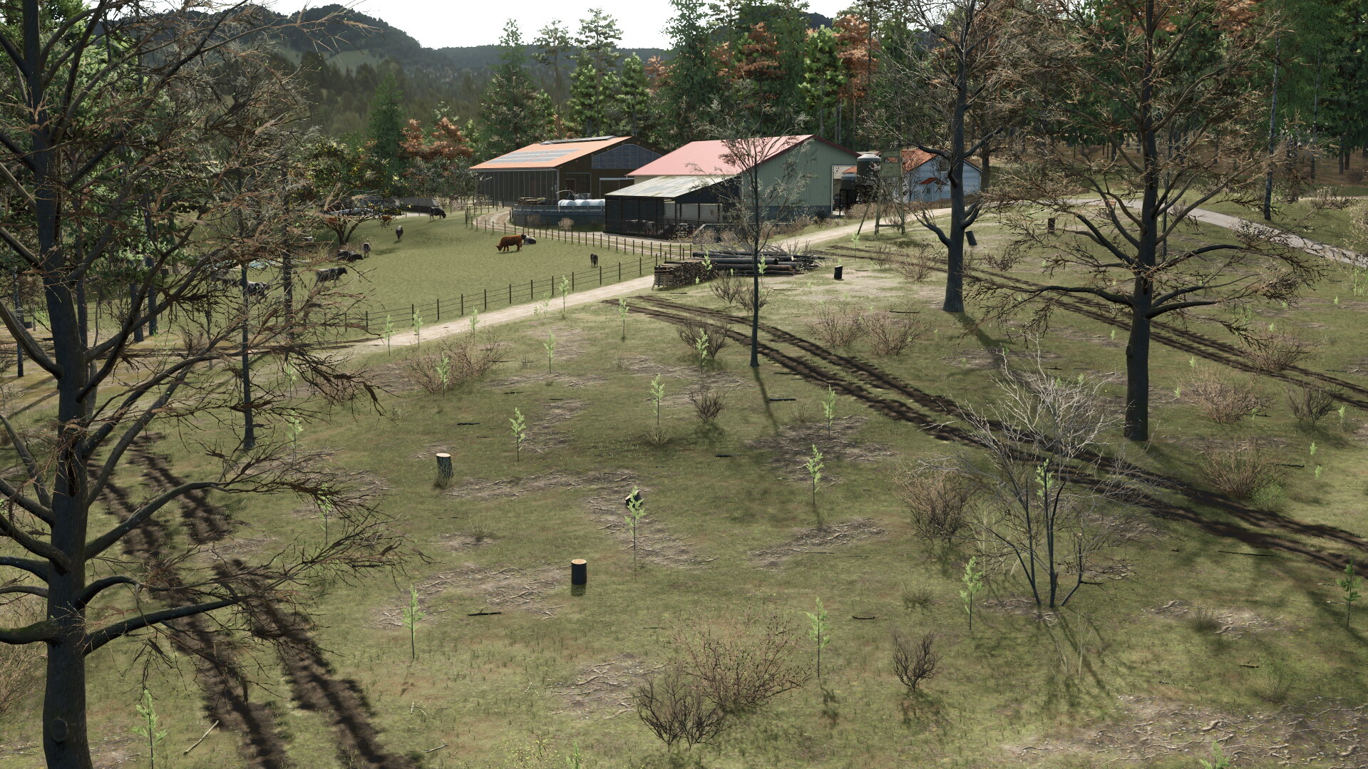 Frühling auf der Alp