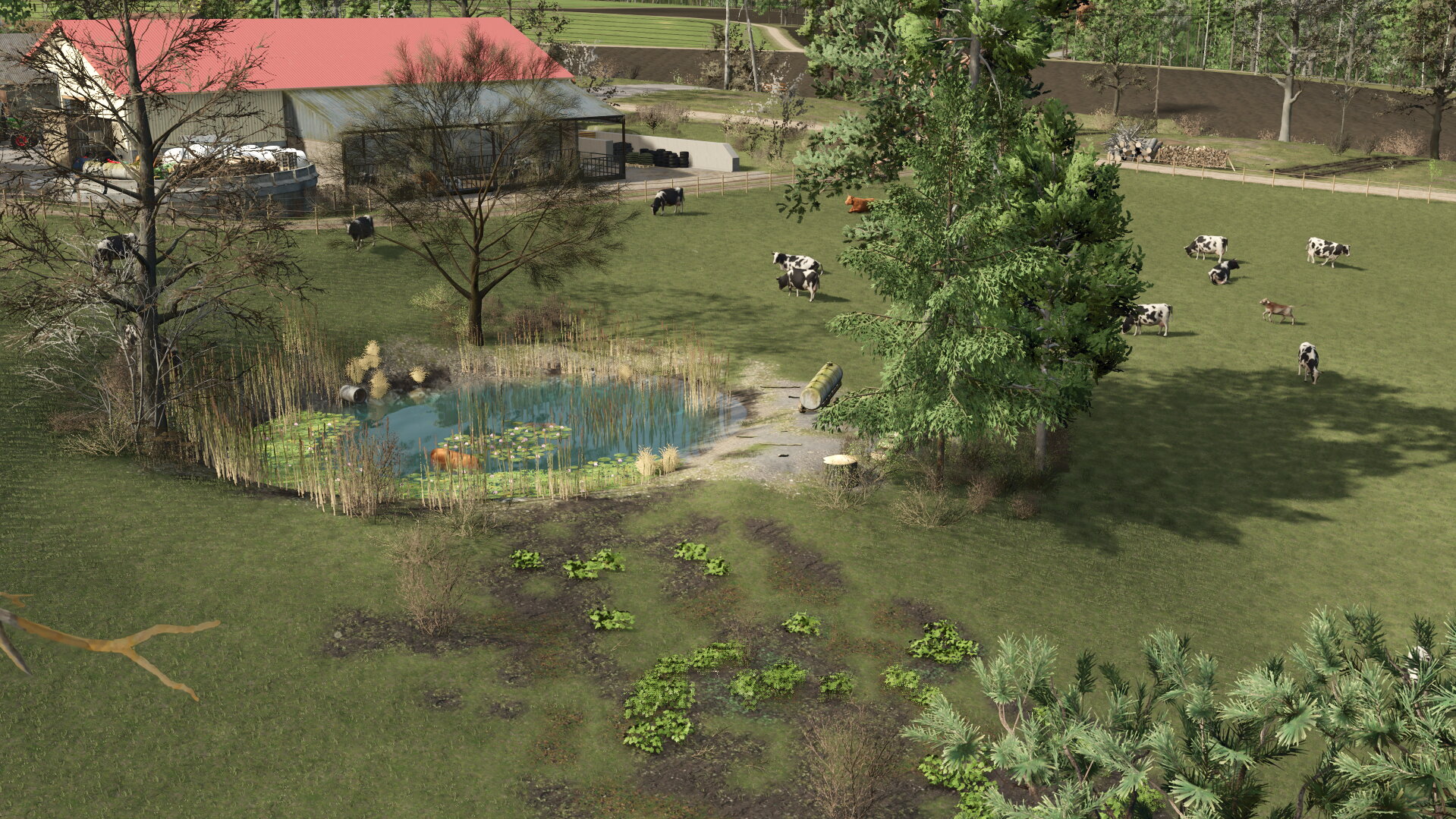 Frühling auf der Alp