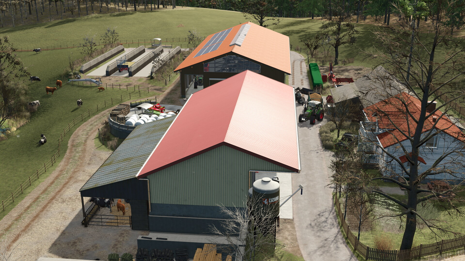 Frühling auf der Alp