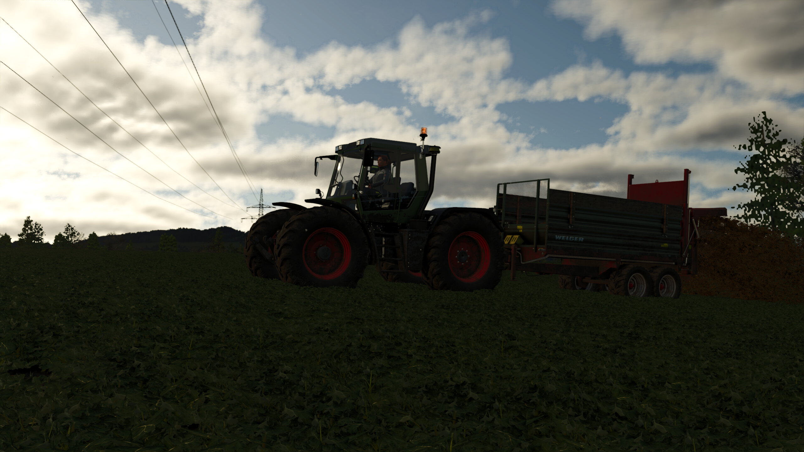 Raps bekommt auch ein bisschen Nährstoffe