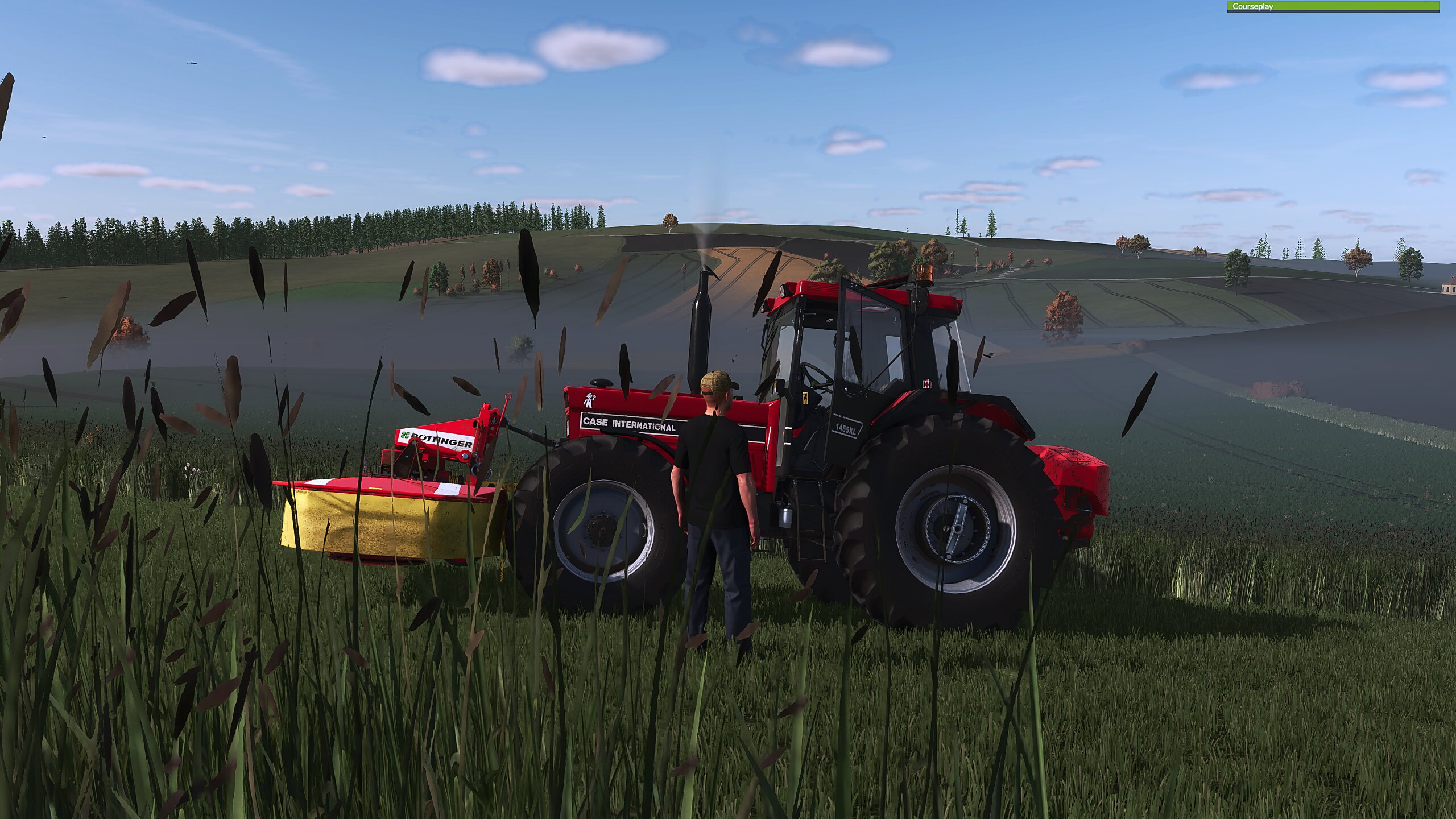 Mähen am morgen....