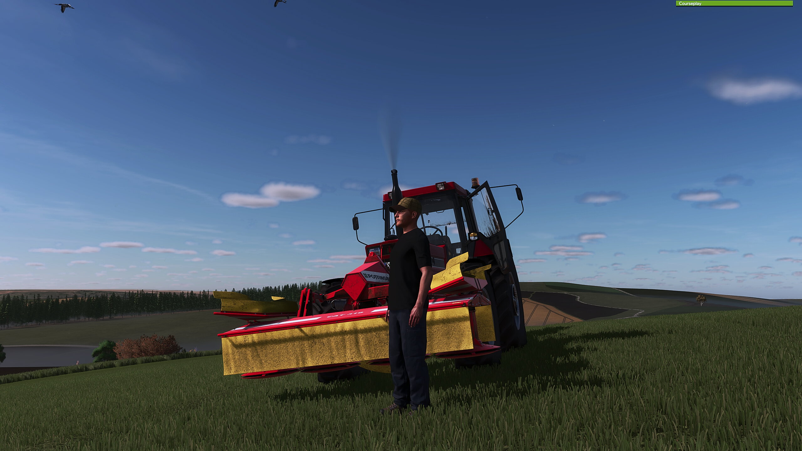 Mähen am morgen .....